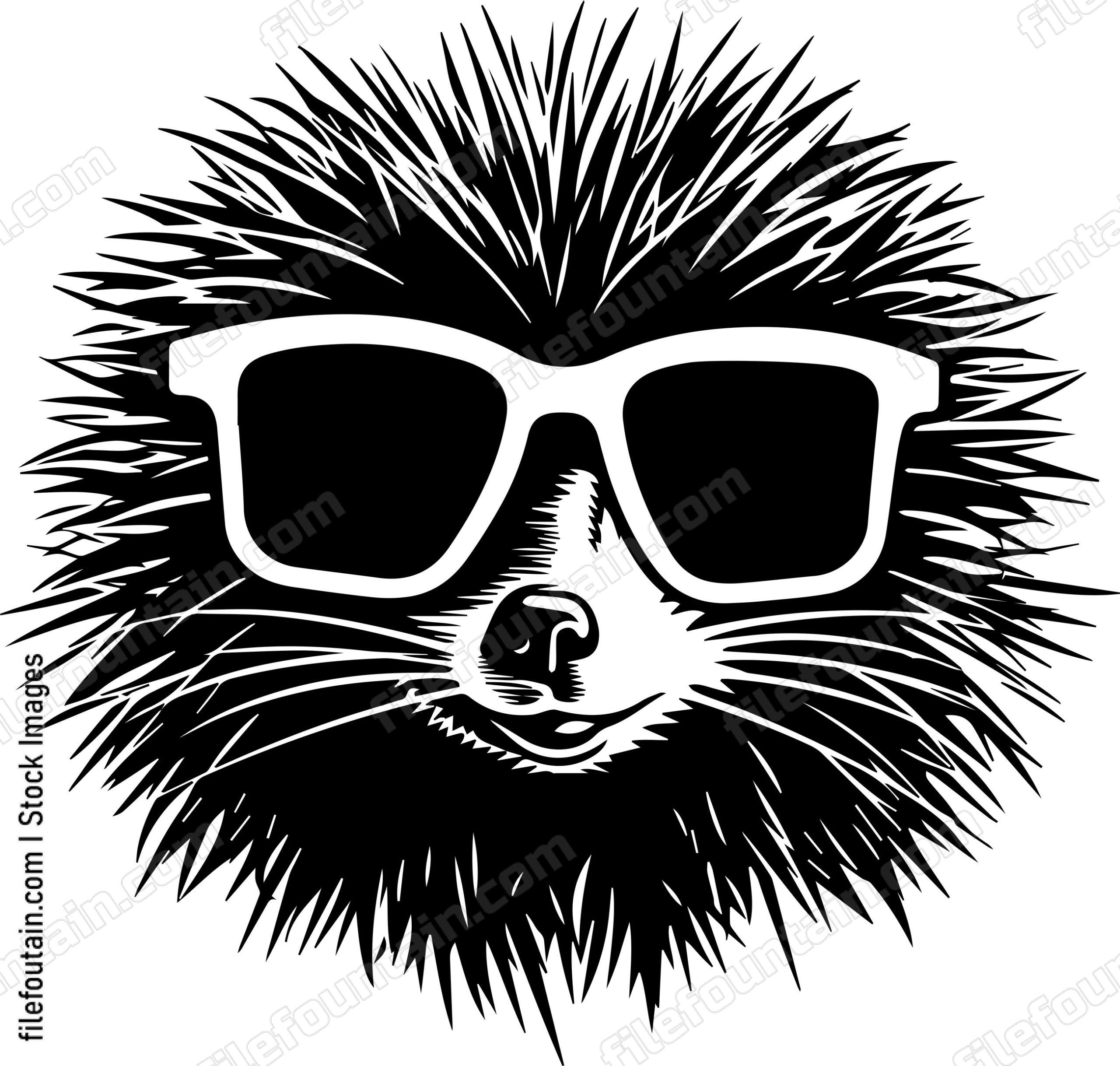 Porcupine In Sunglasses