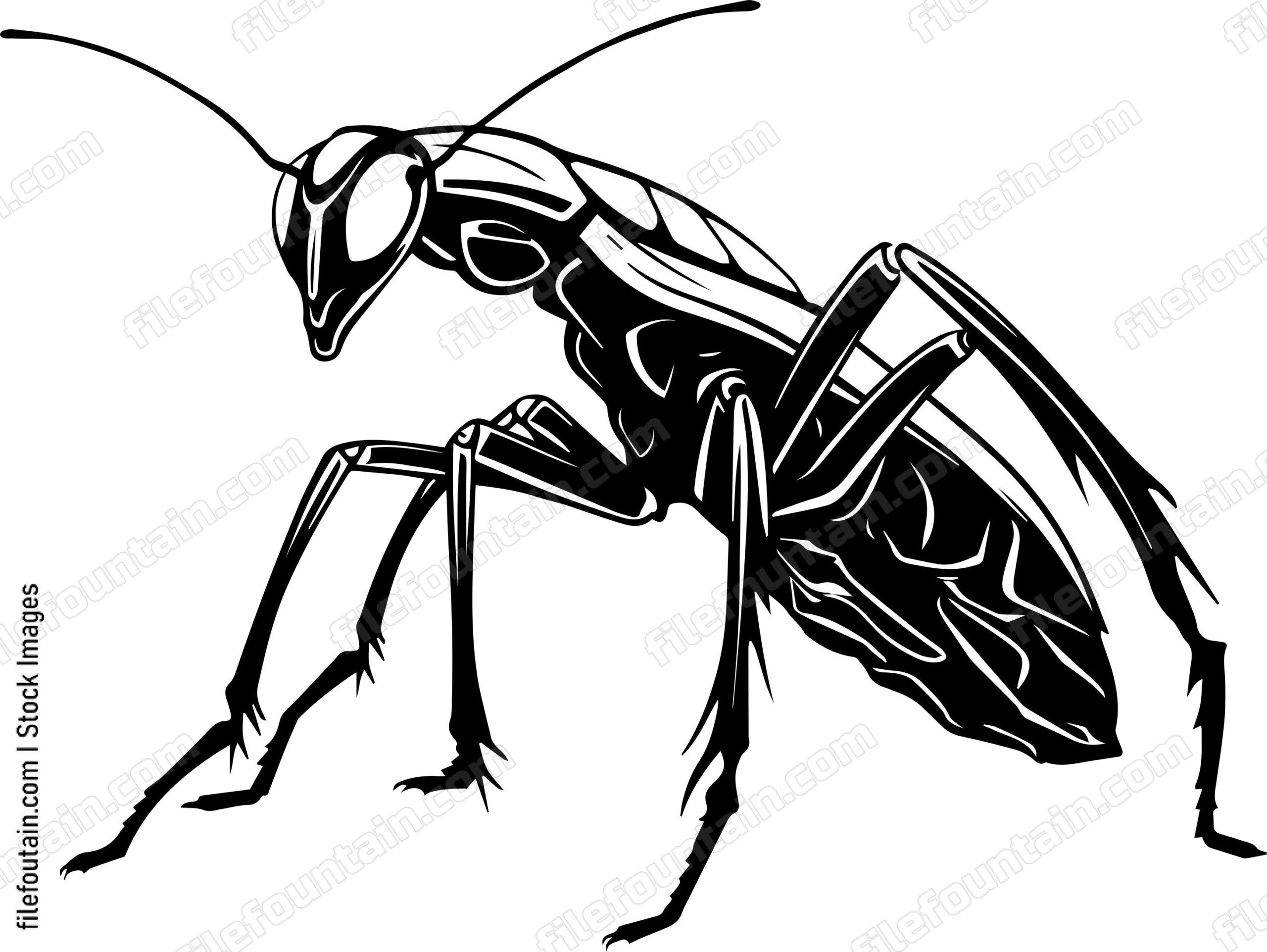 Praying Mantis Sleeping