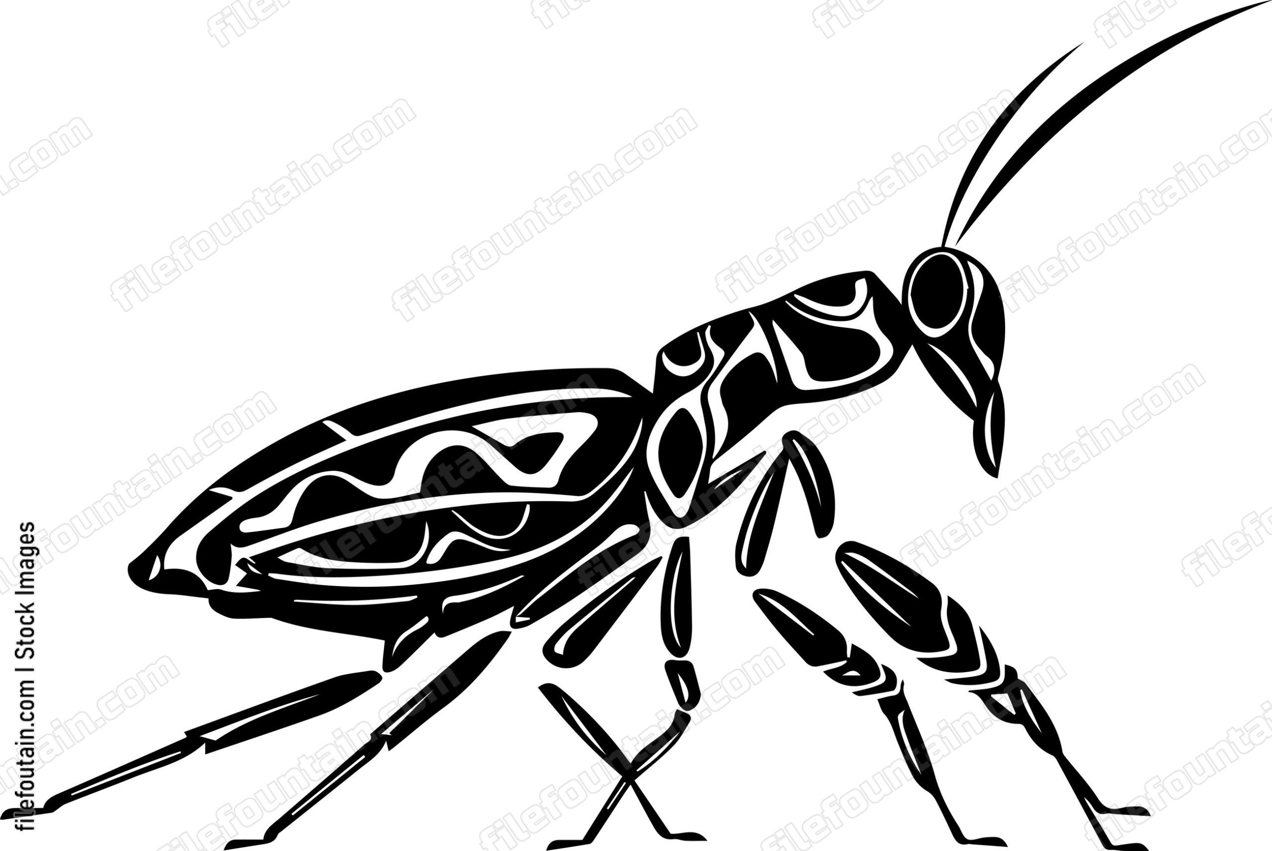 Praying Mantis Sleeping