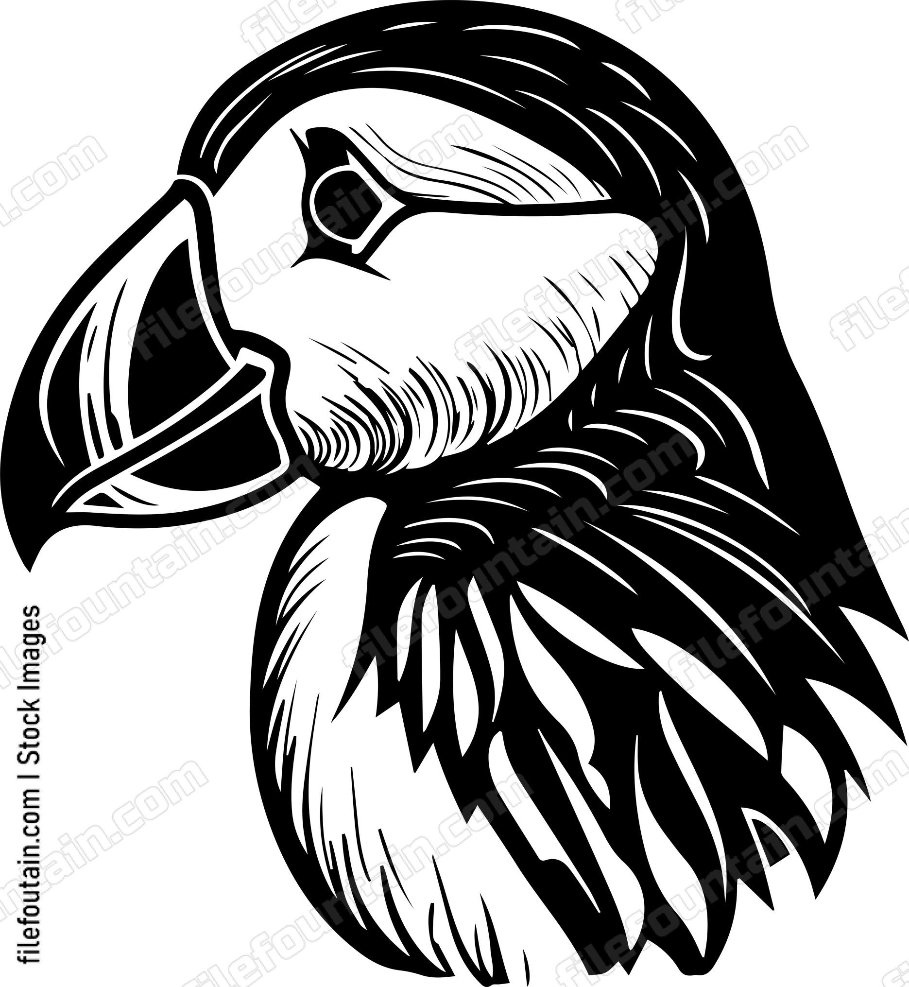 Puffin