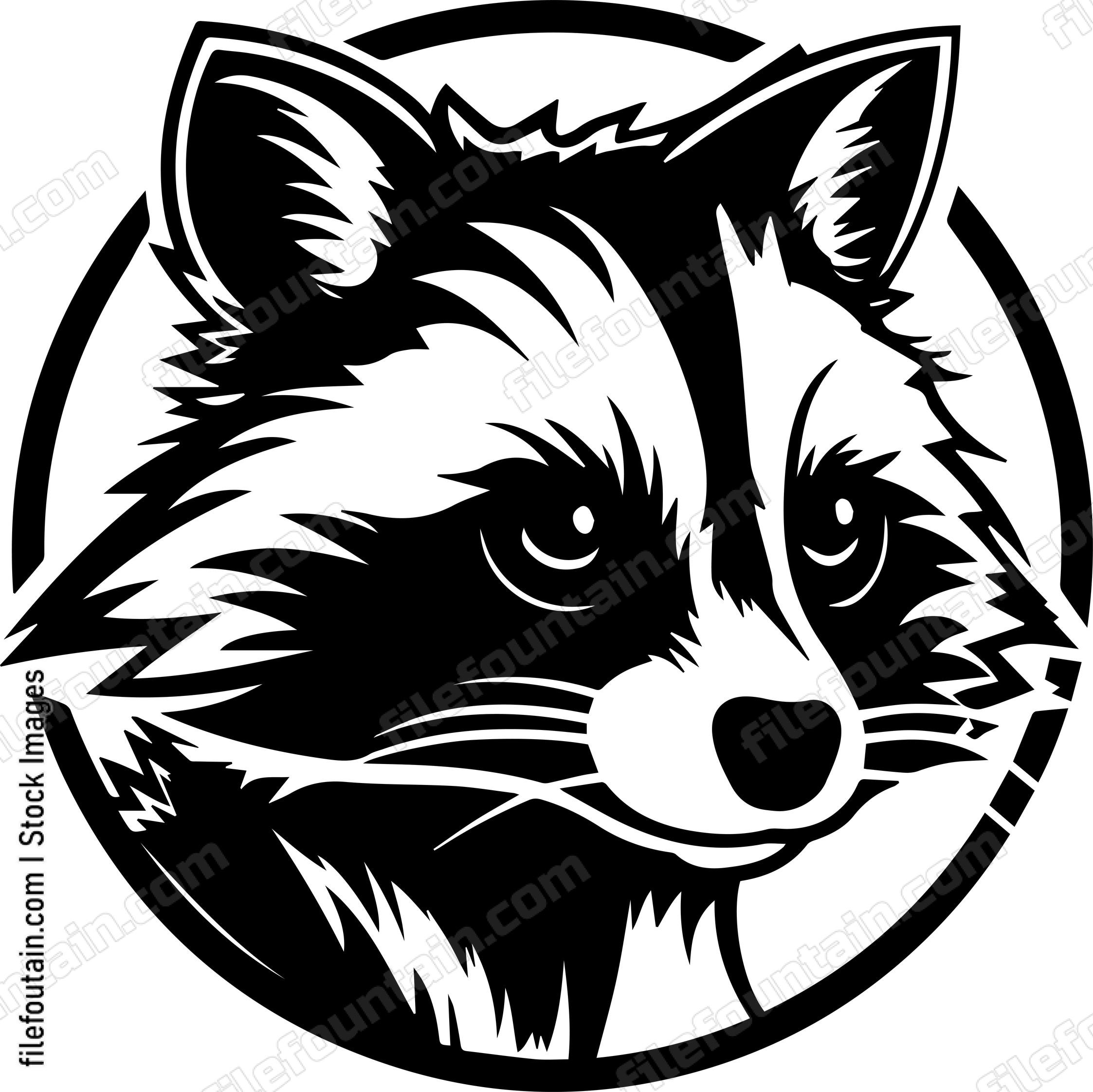Raccoon
