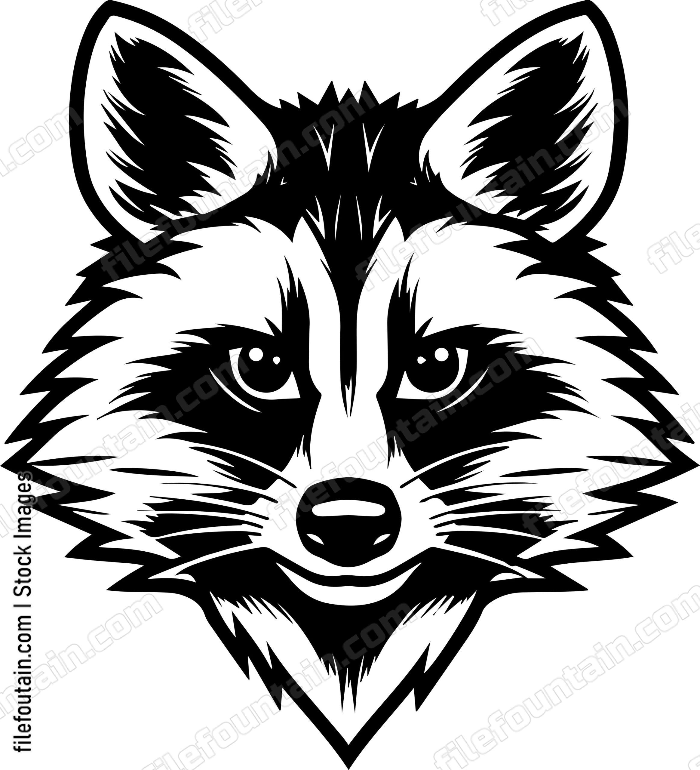 Raccoon