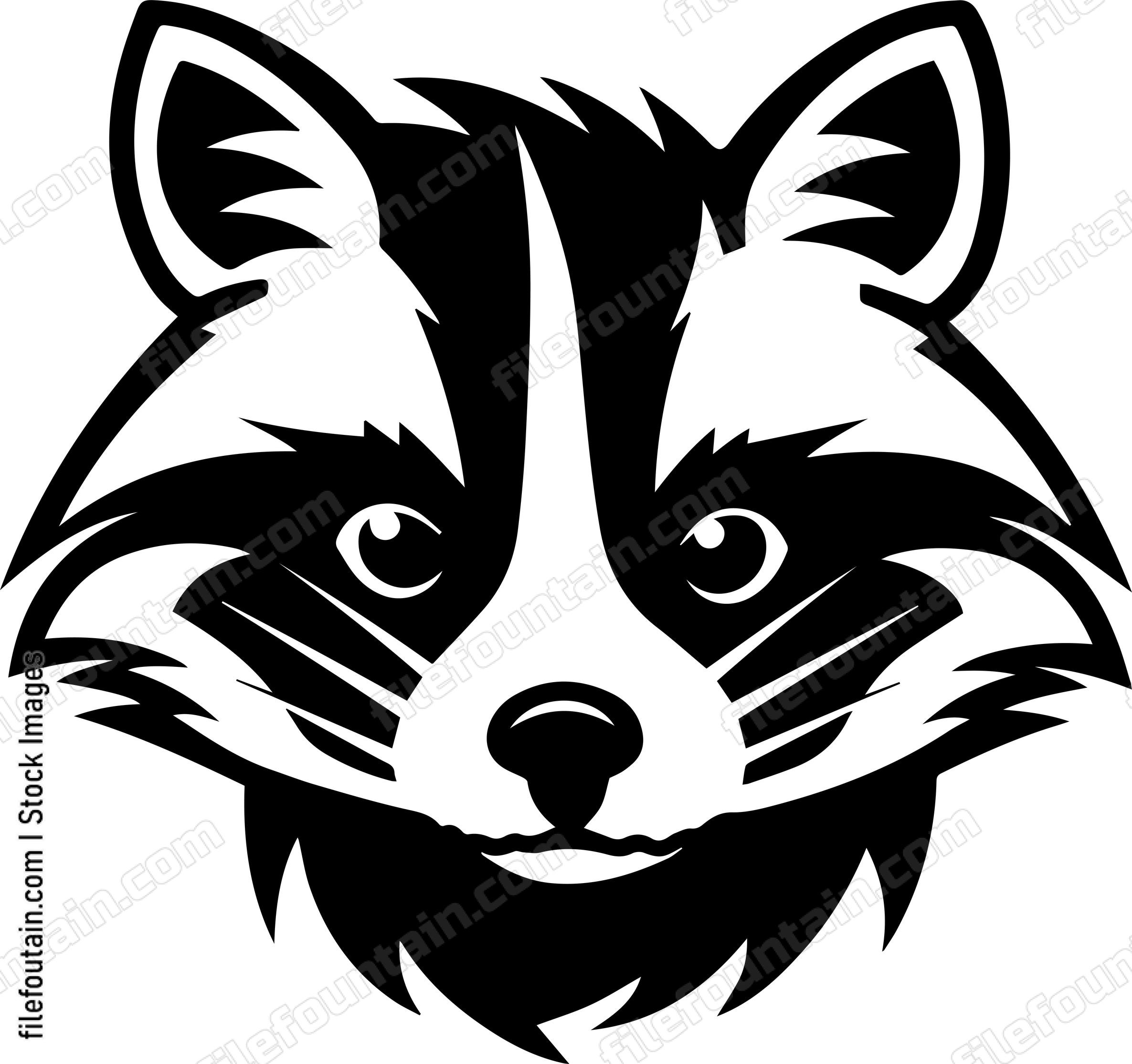 Raccoon