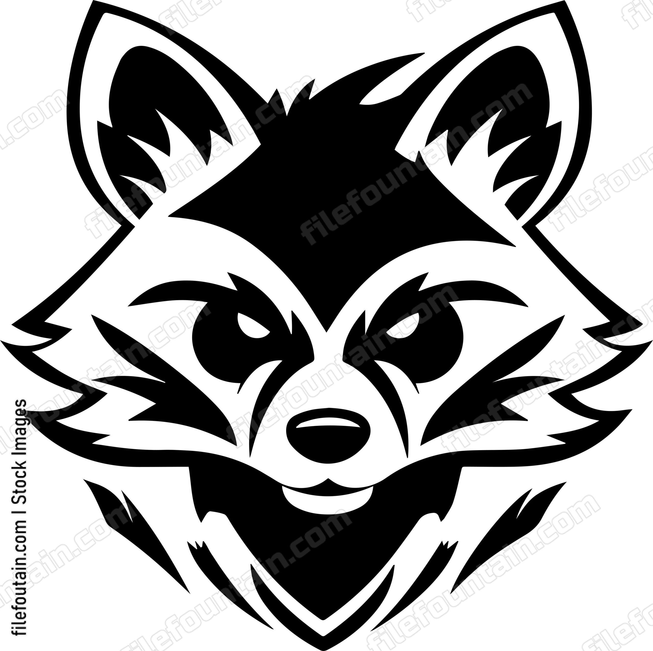 Raccoon
