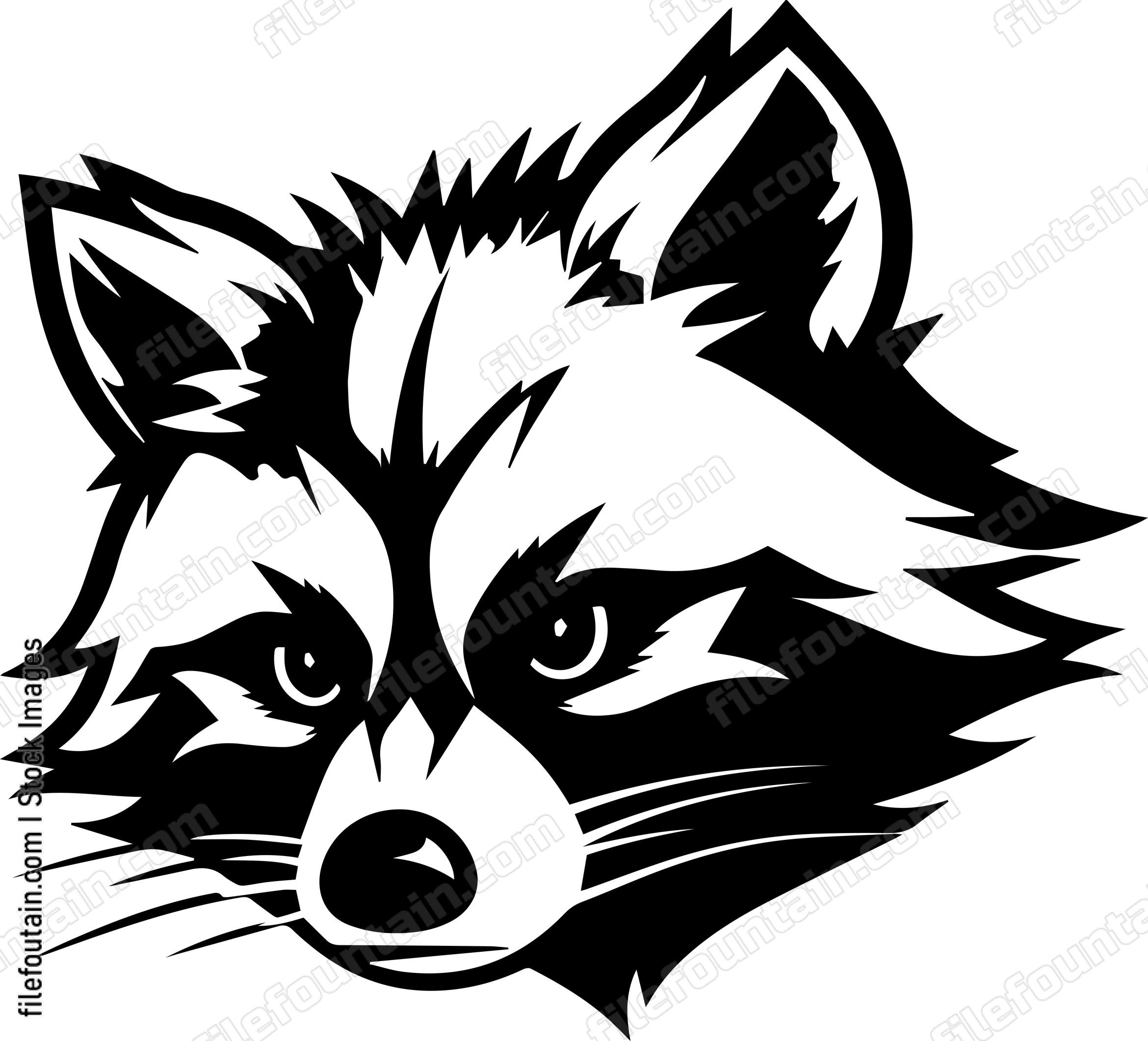 Raccoon