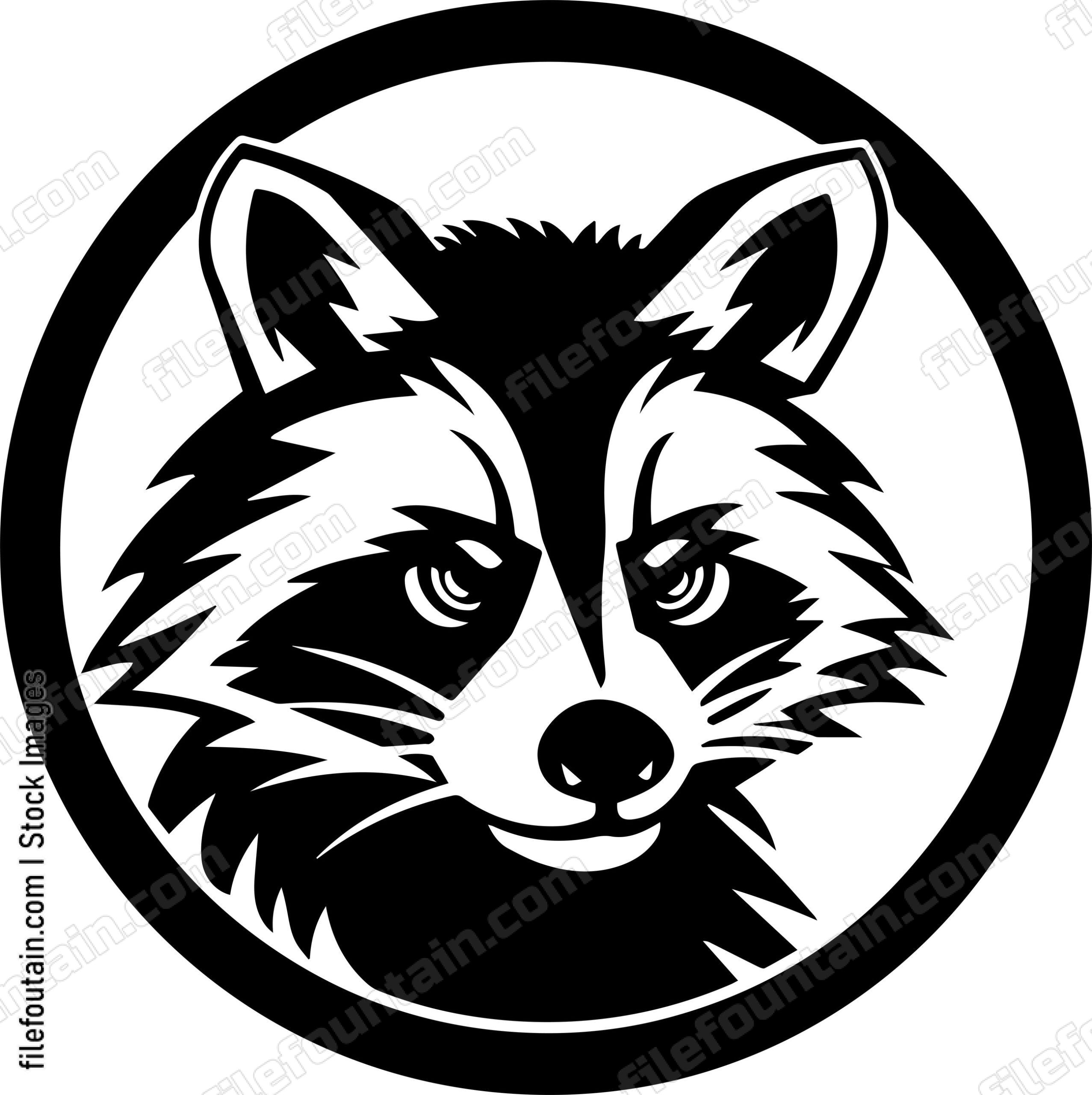 Raccoon