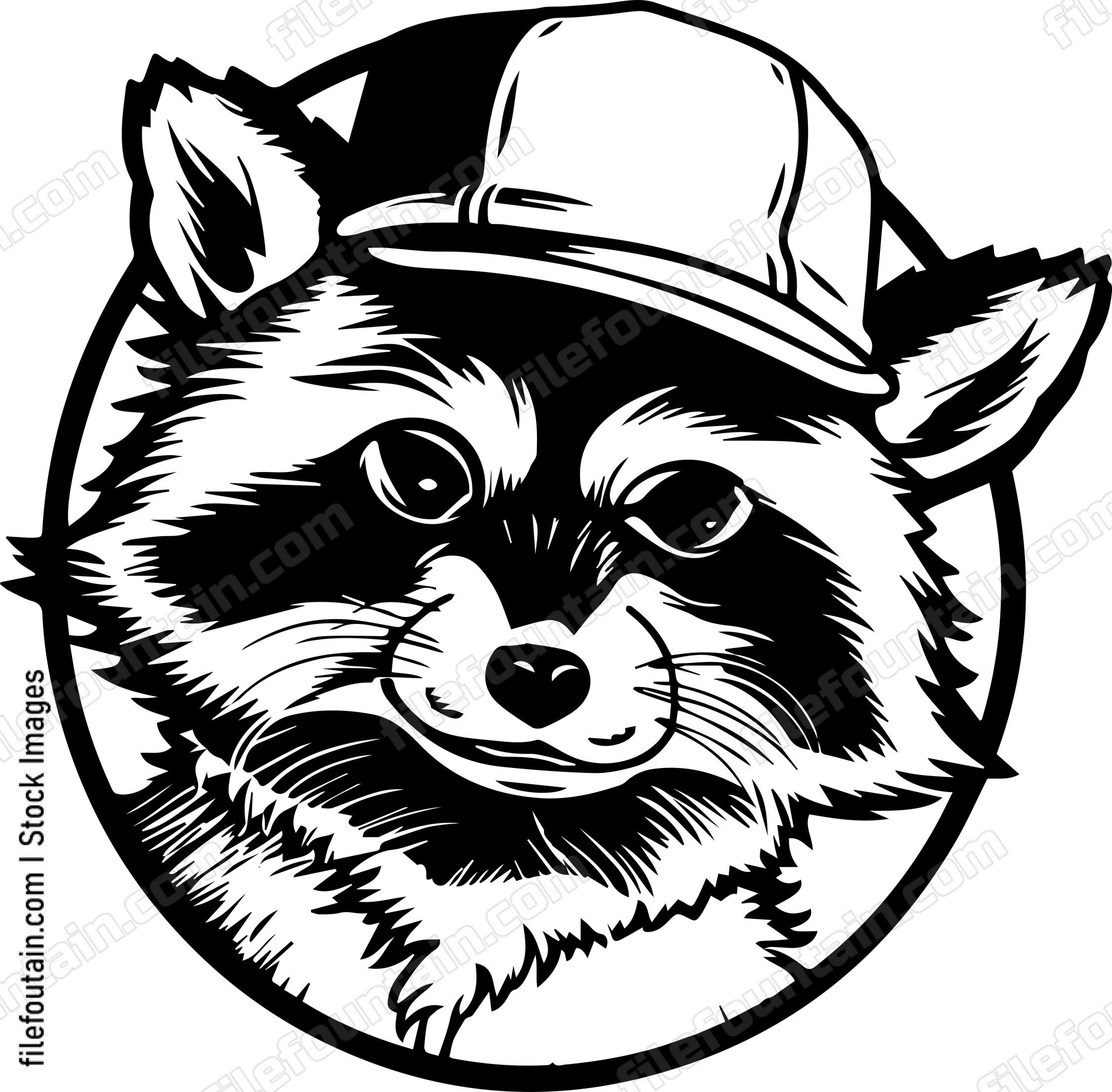 Raccoon In Baseball Cap
