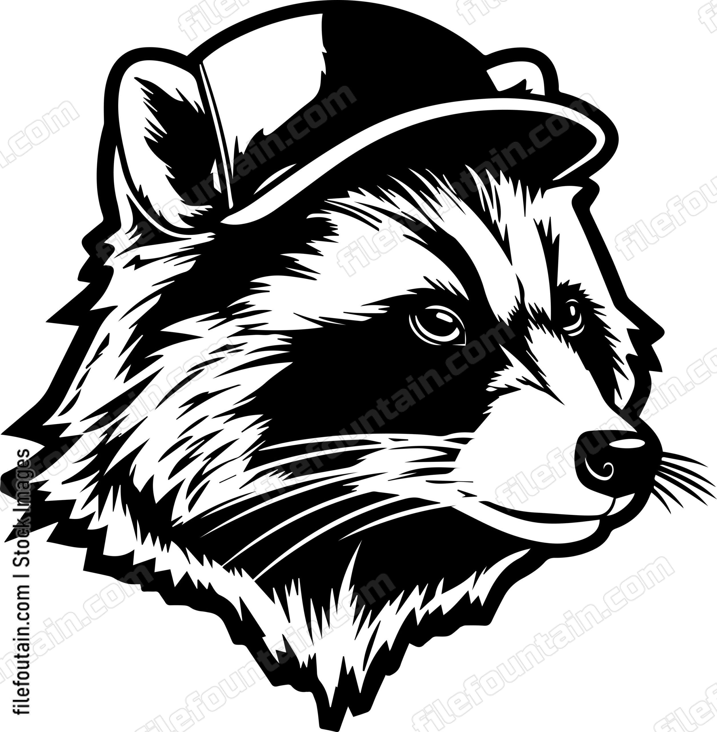 Raccoon In Baseball Cap