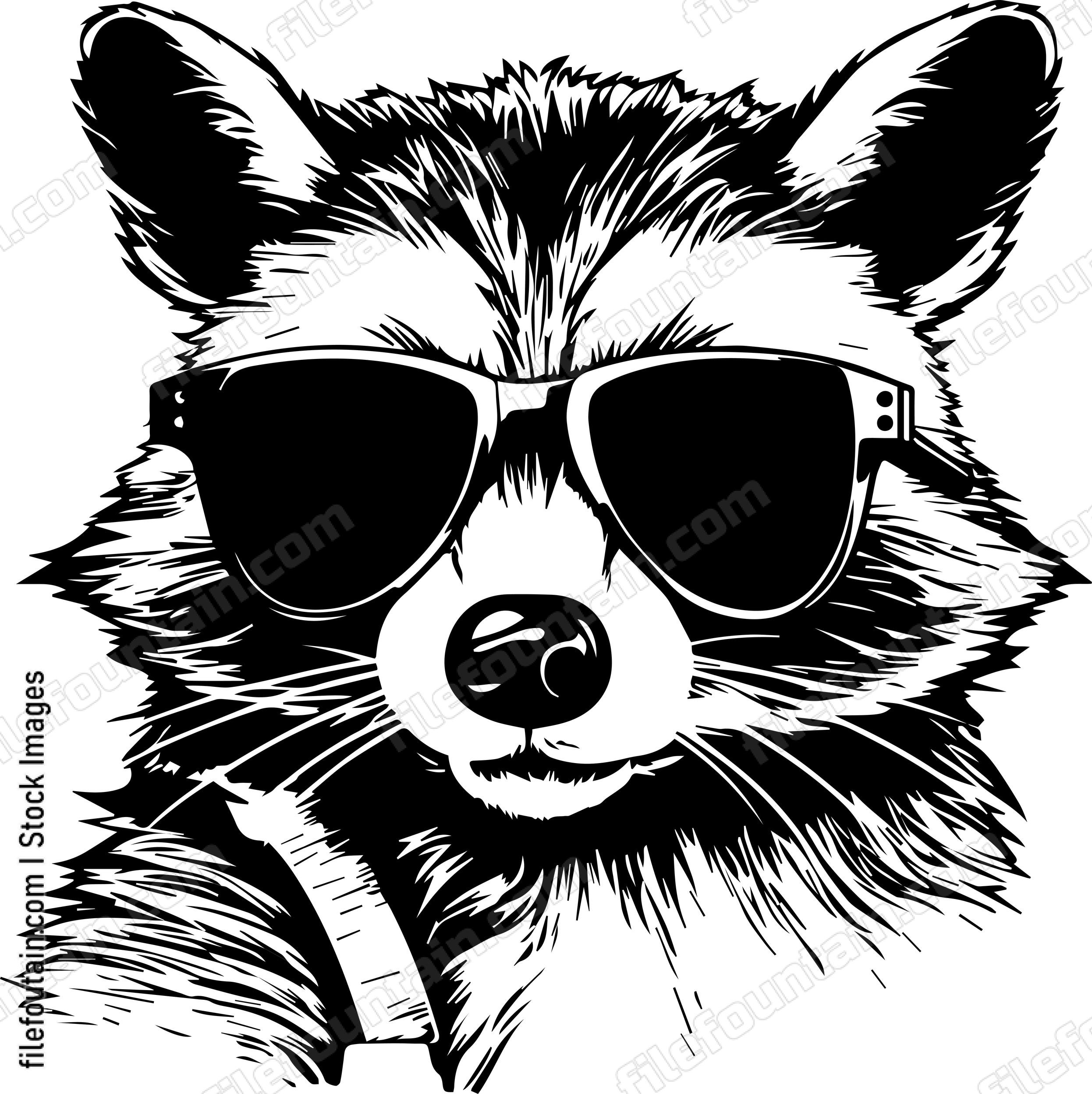 Raccoon In Sunglasses