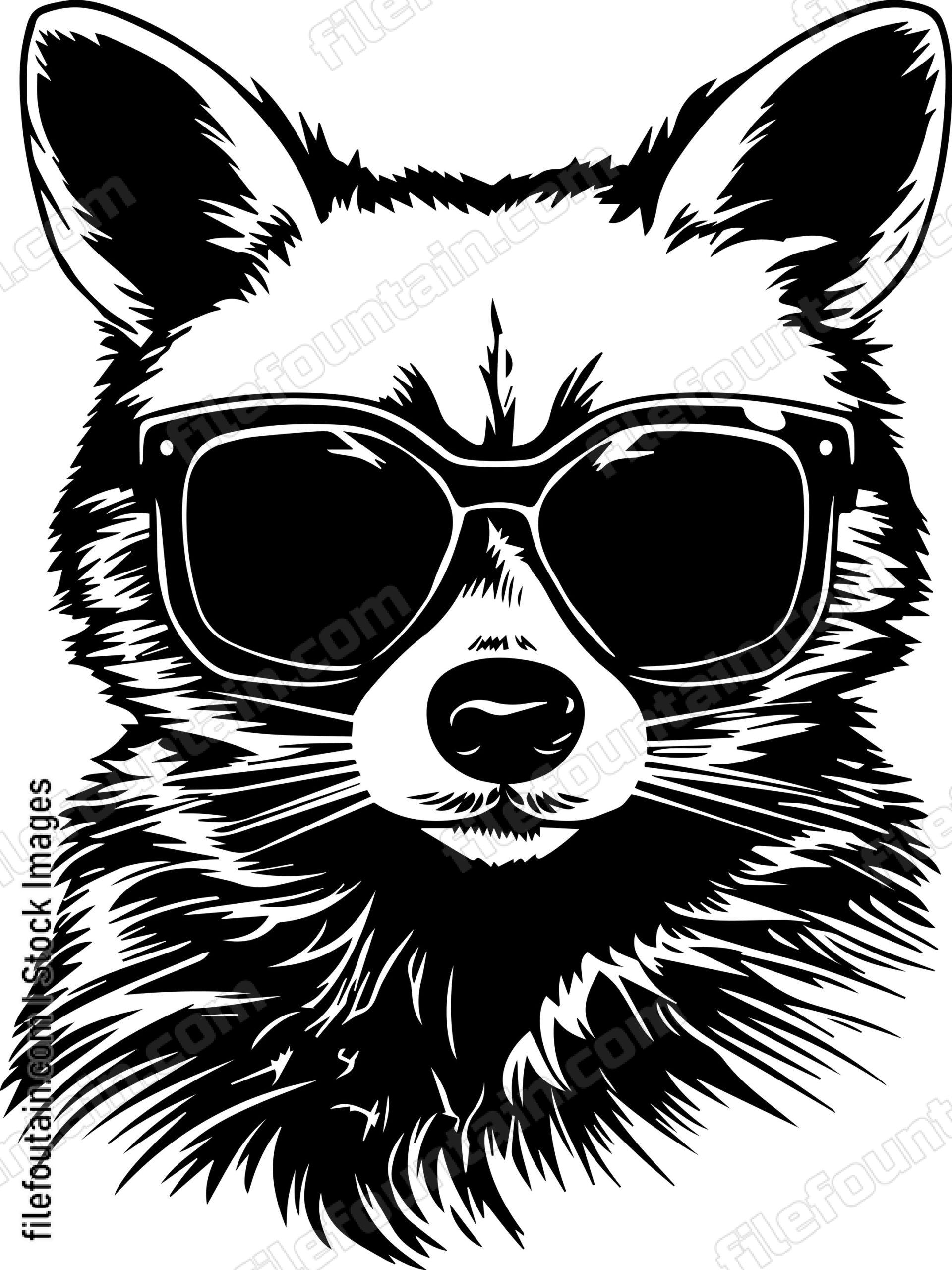Raccoon In Sunglasses