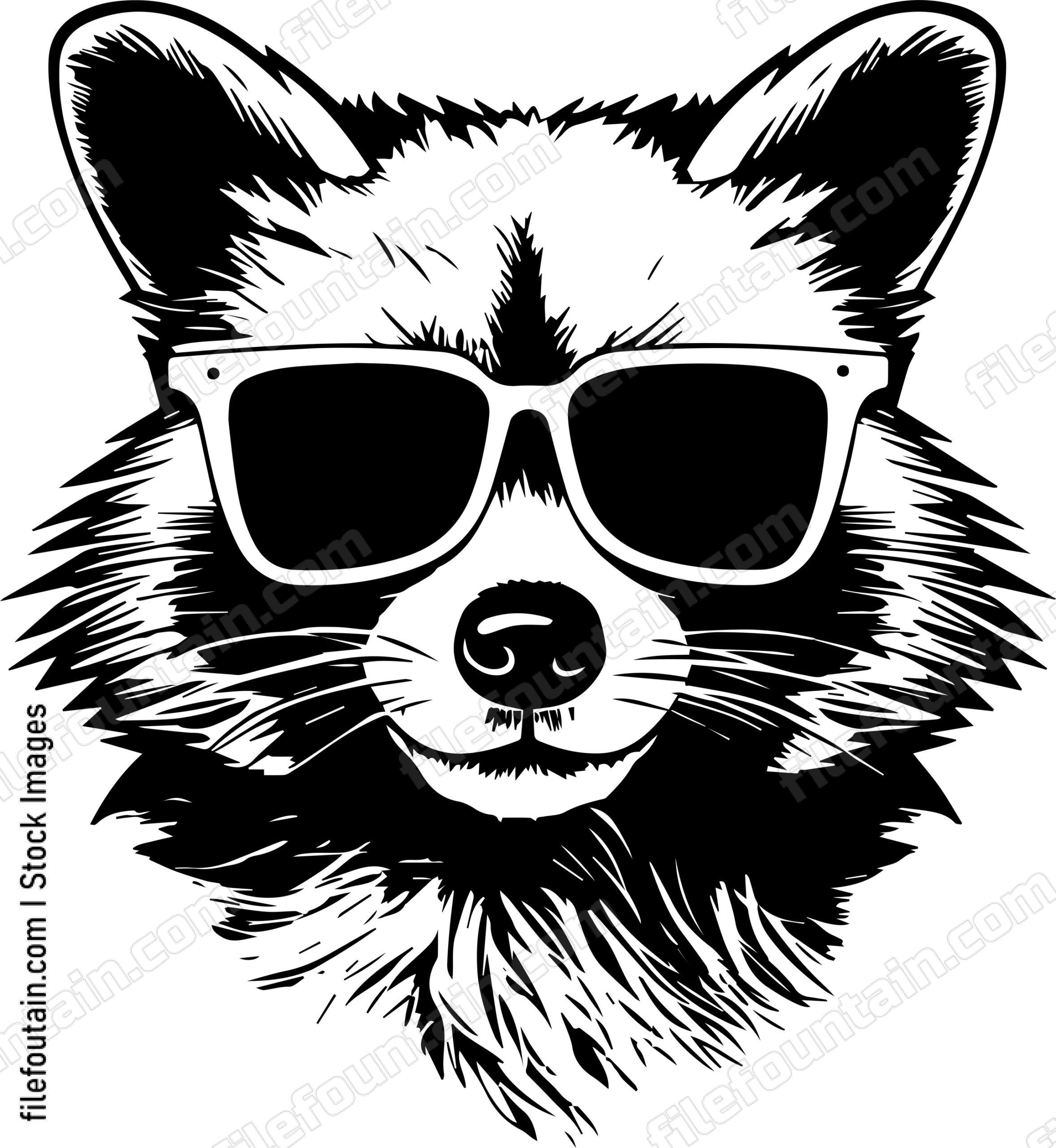 Raccoon In Sunglasses