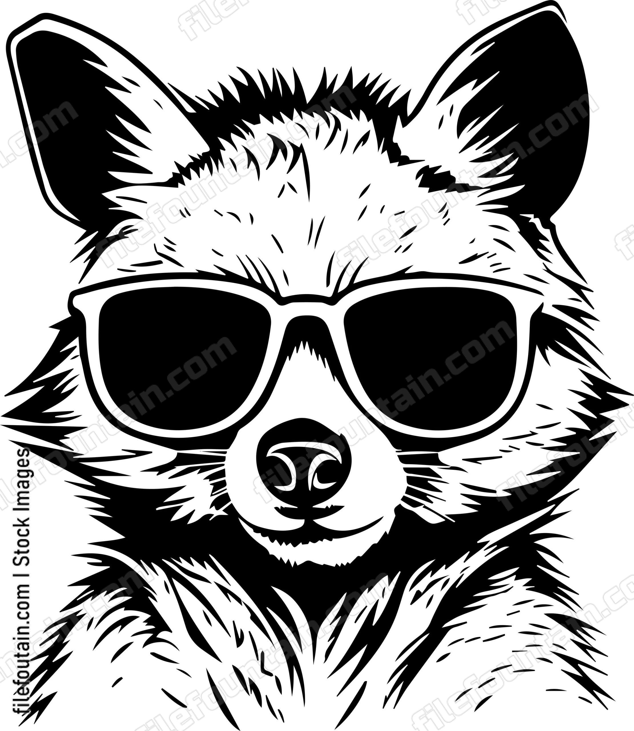 Raccoon In Sunglasses