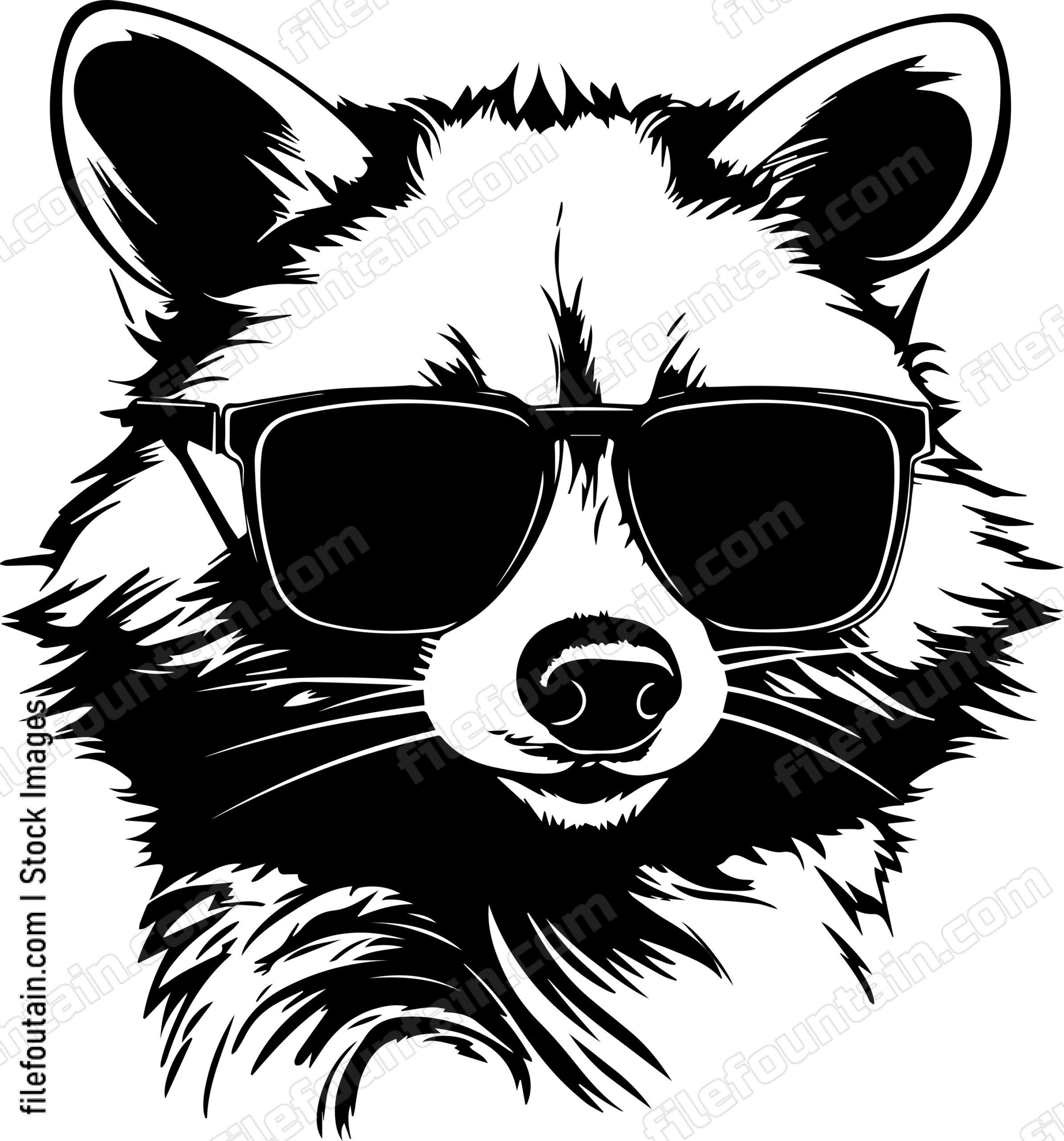 Raccoon In Sunglasses
