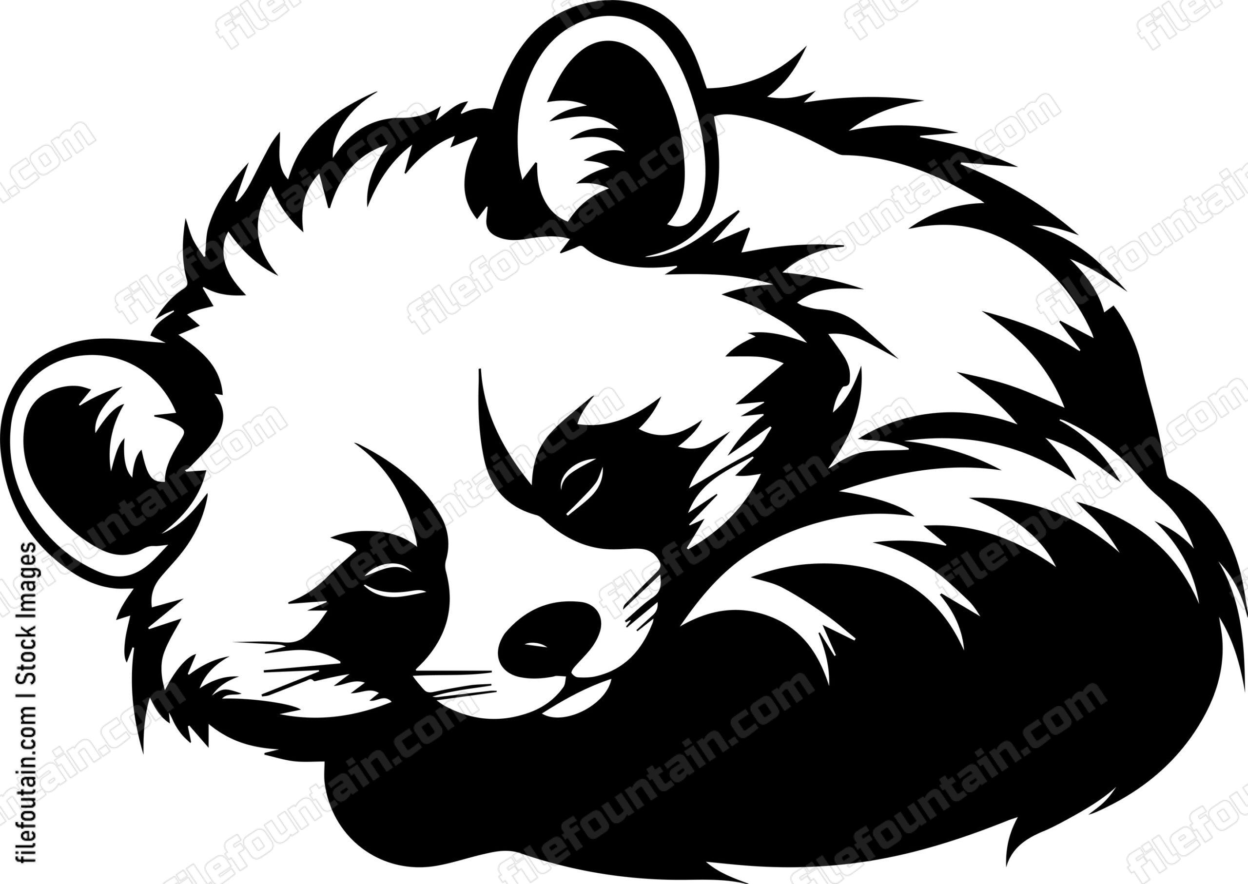 Red Panda Sleeping