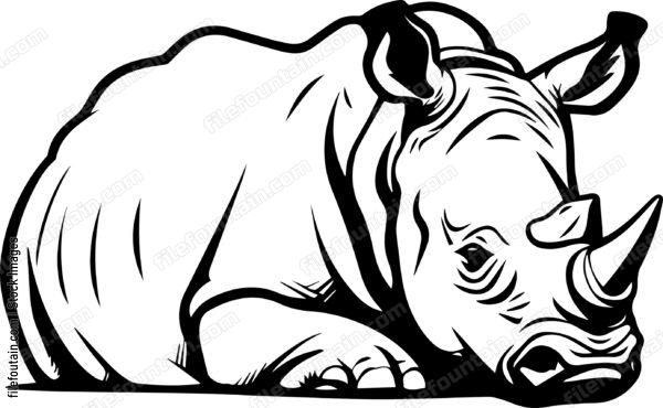 Rhino Laying Down