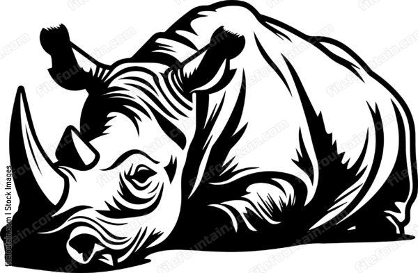 Rhino Laying Down