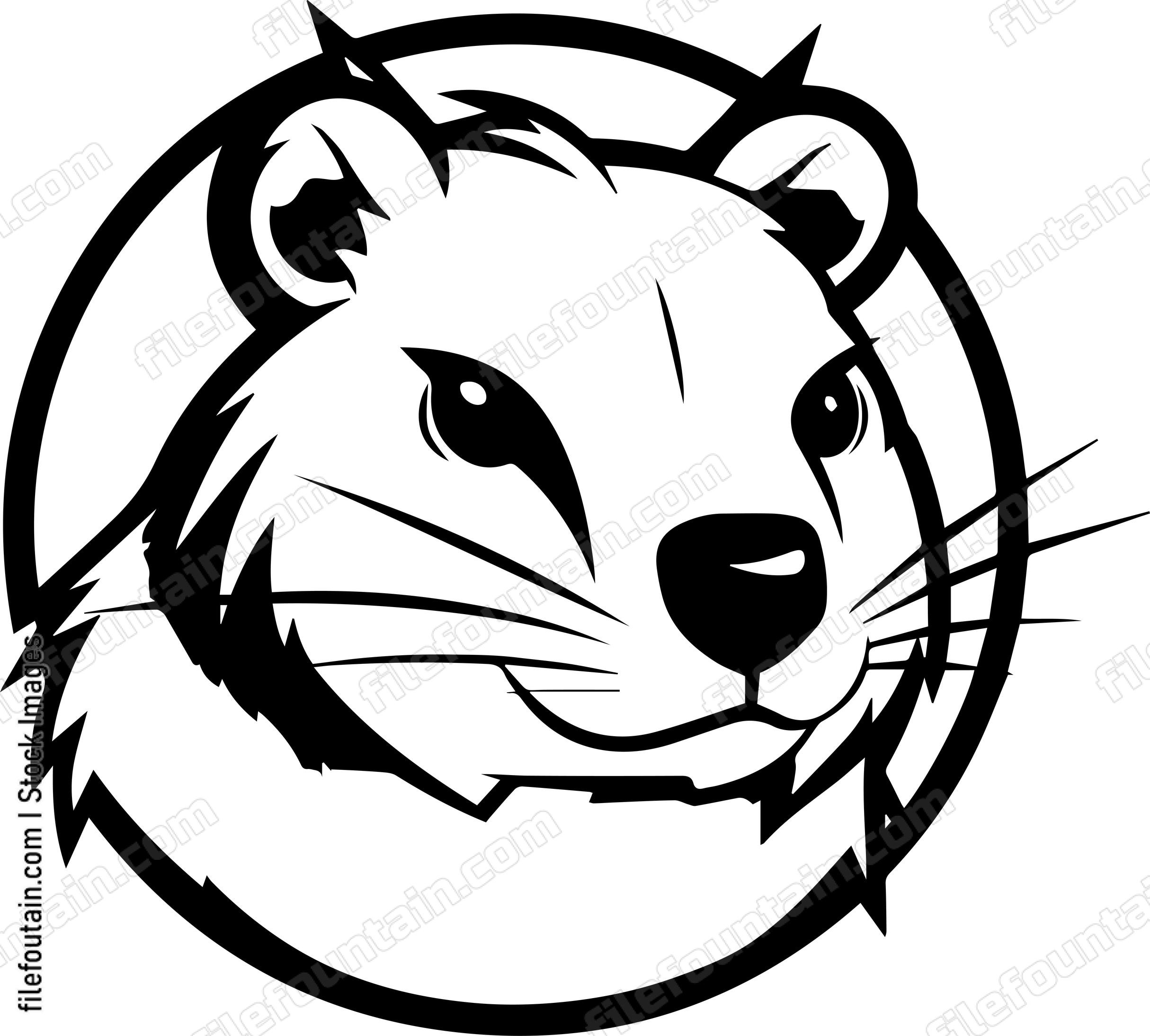 Rock Hyrax