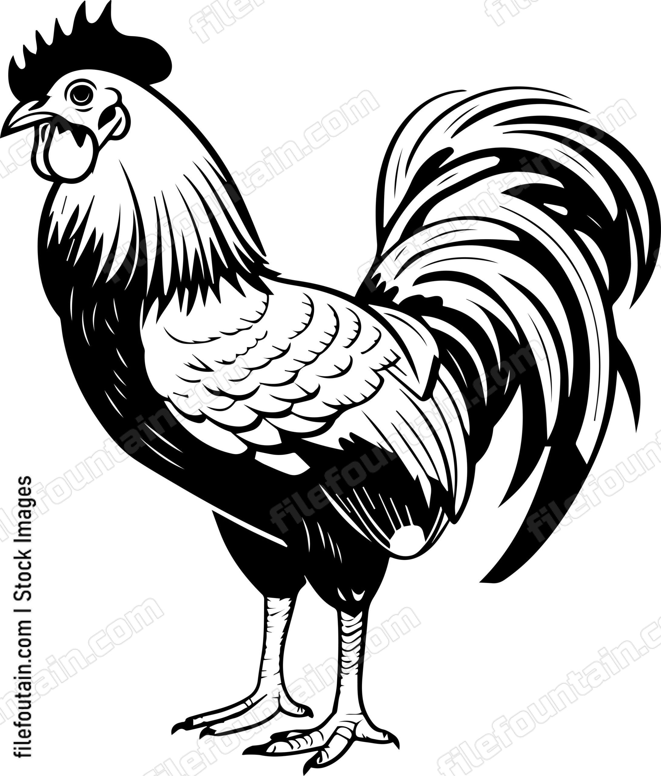 Rooster Mascot