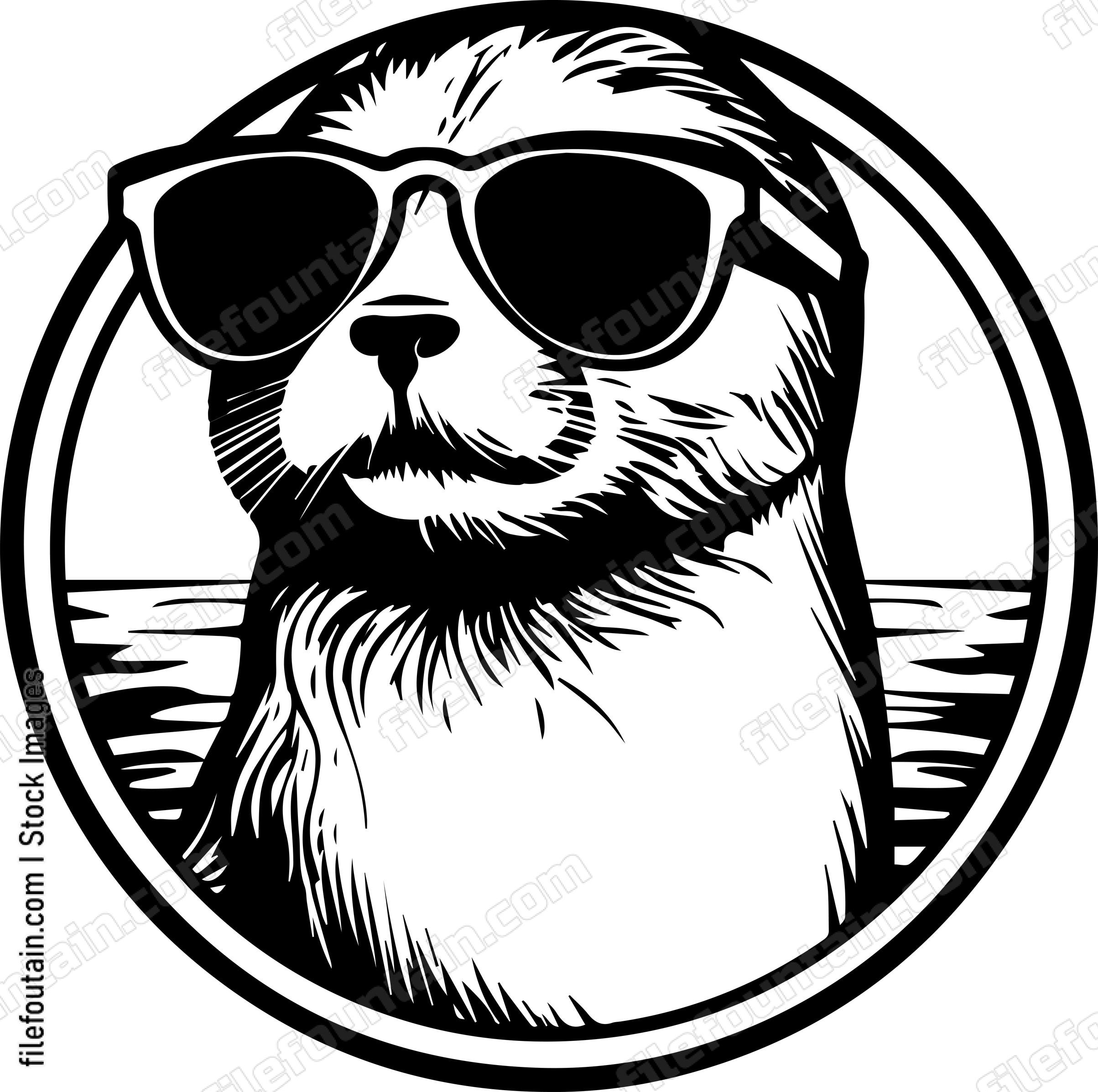 Seal In Sunglasses