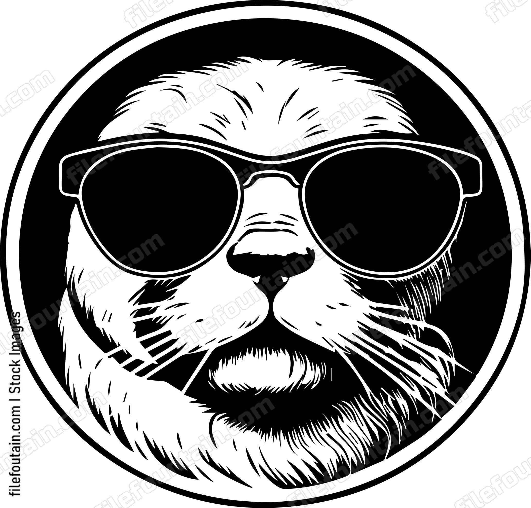 Seal In Sunglasses