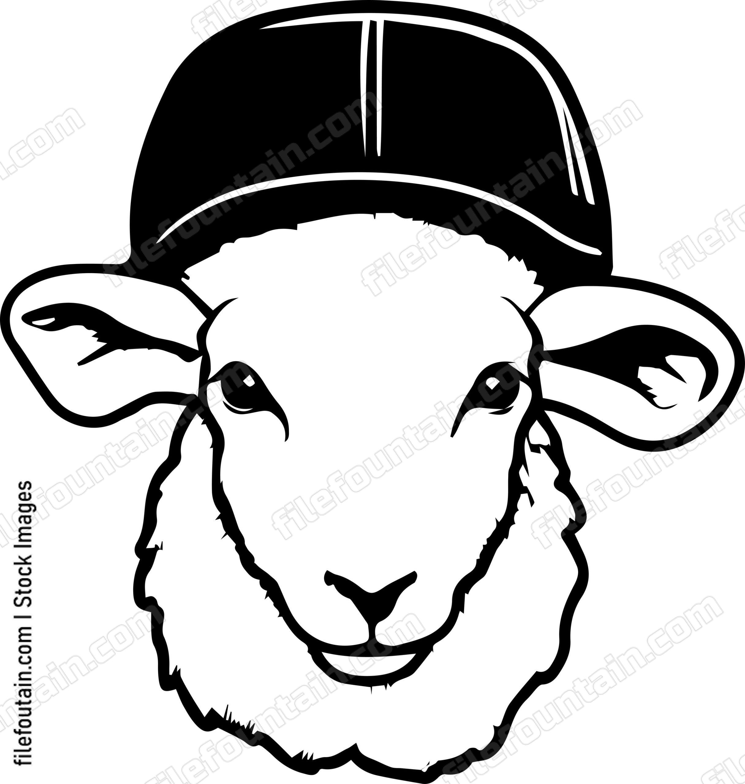 Sheep In Baseball Cap