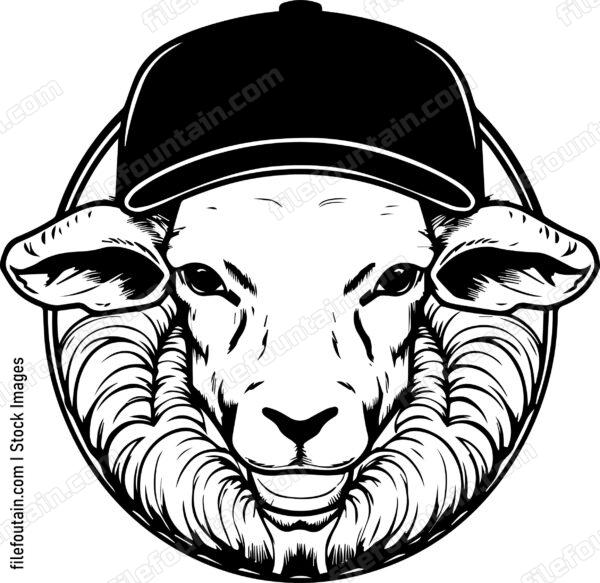 Sheep In Baseball Cap
