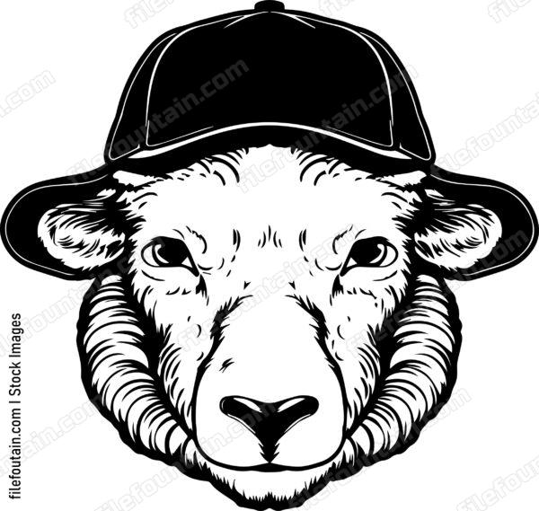 Sheep In Baseball Cap