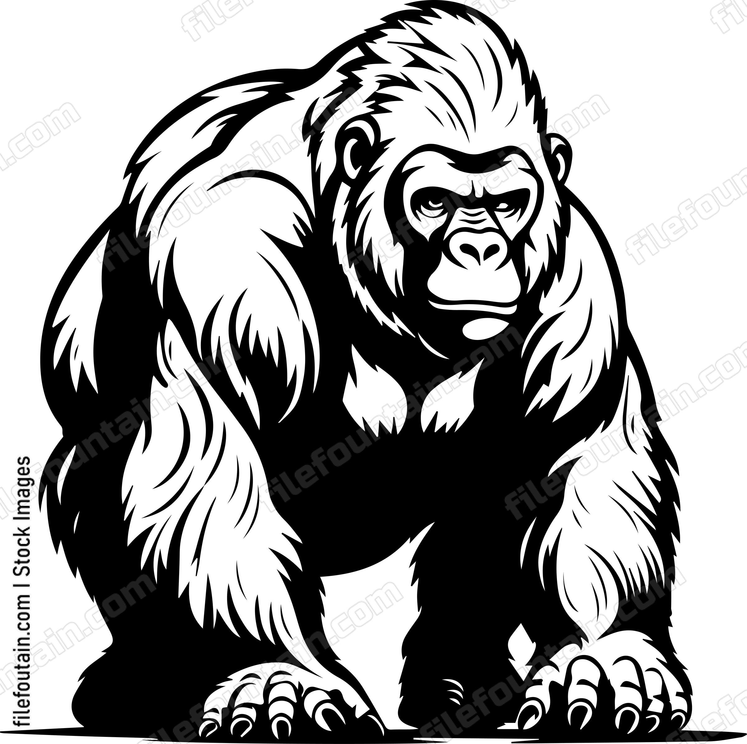 Silverback Gorilla