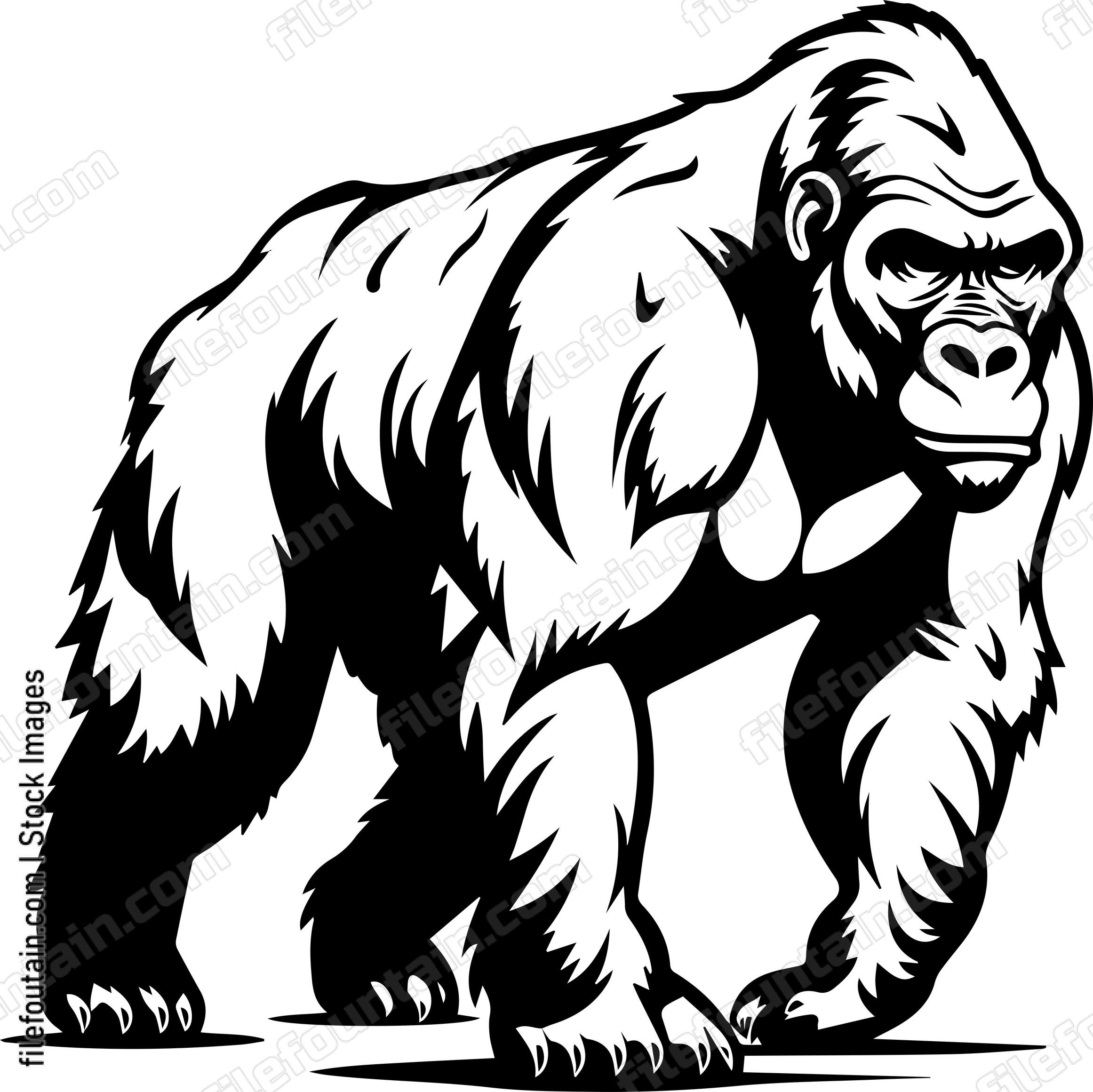 Silverback Gorilla