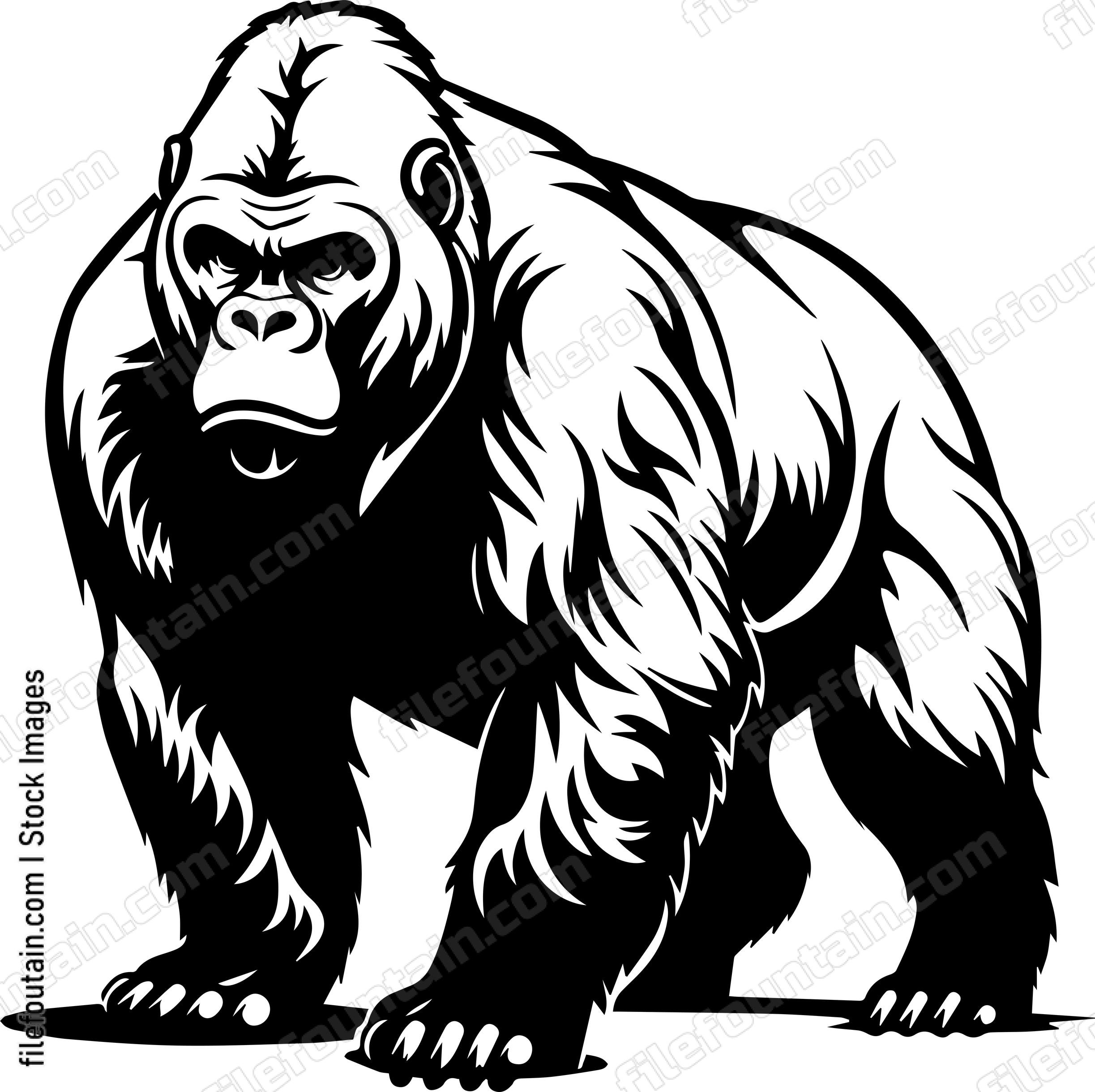 Silverback Gorilla