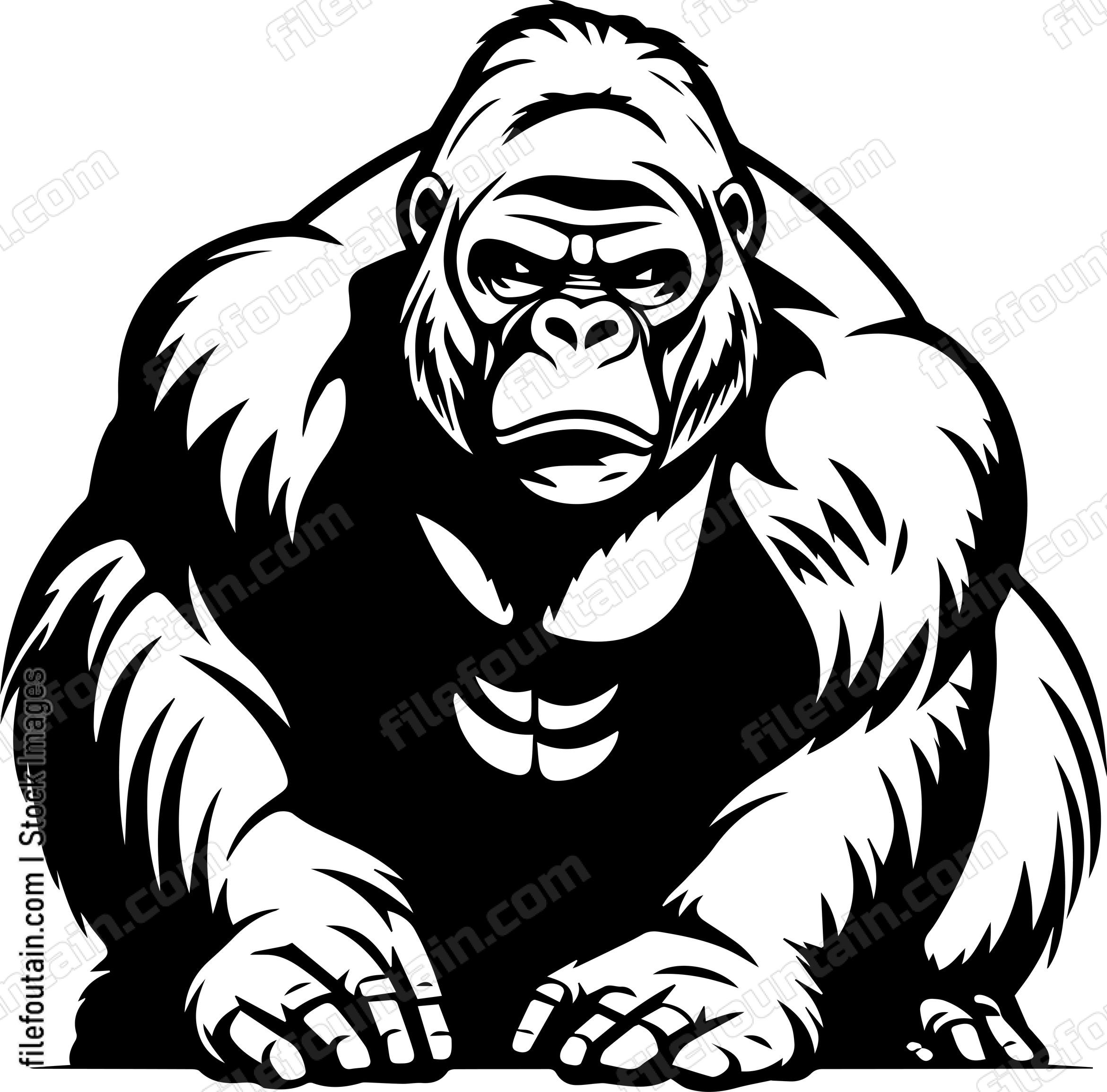 Silverback Gorilla