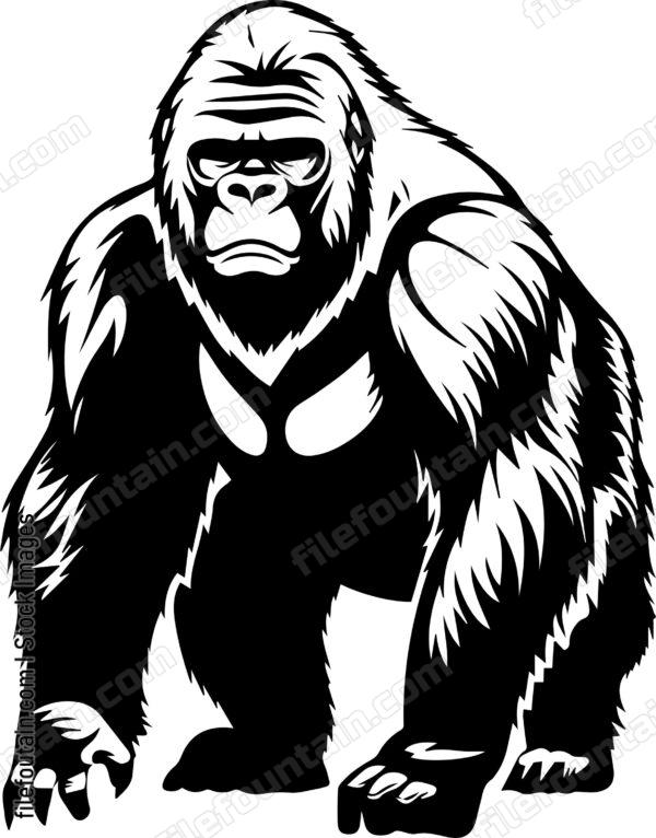 Silverback Gorilla