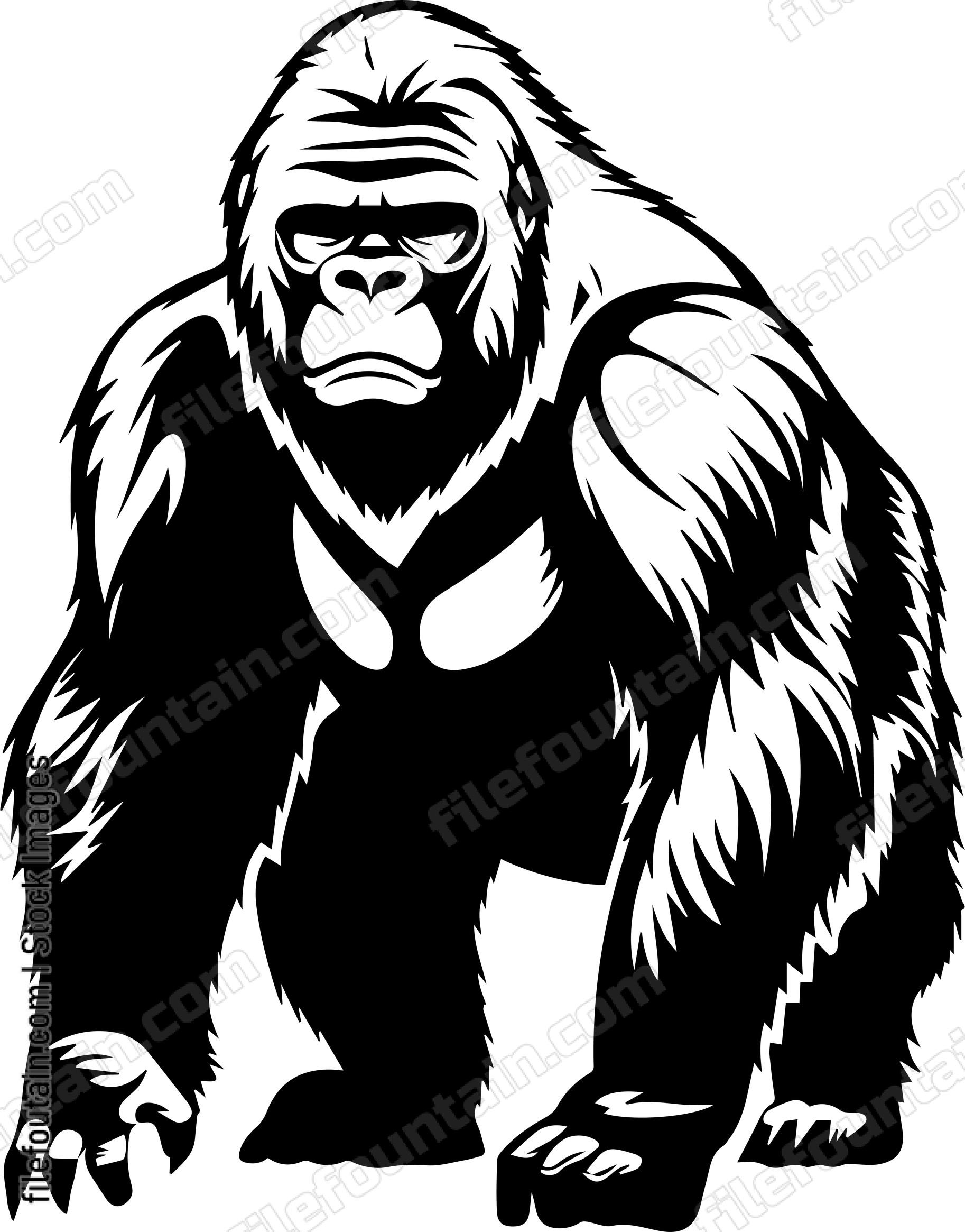 Silverback Gorilla
