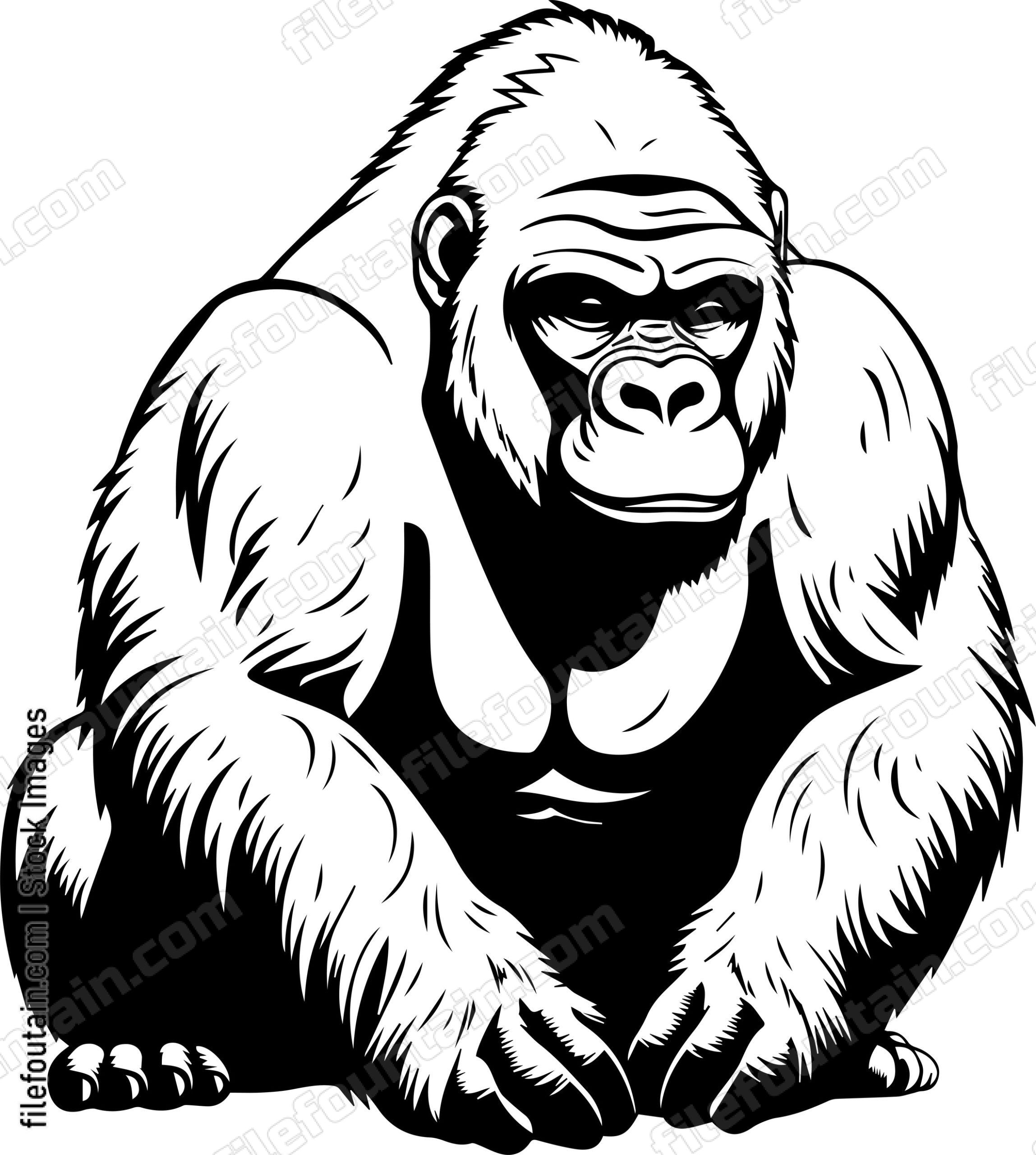 Silverback Gorilla