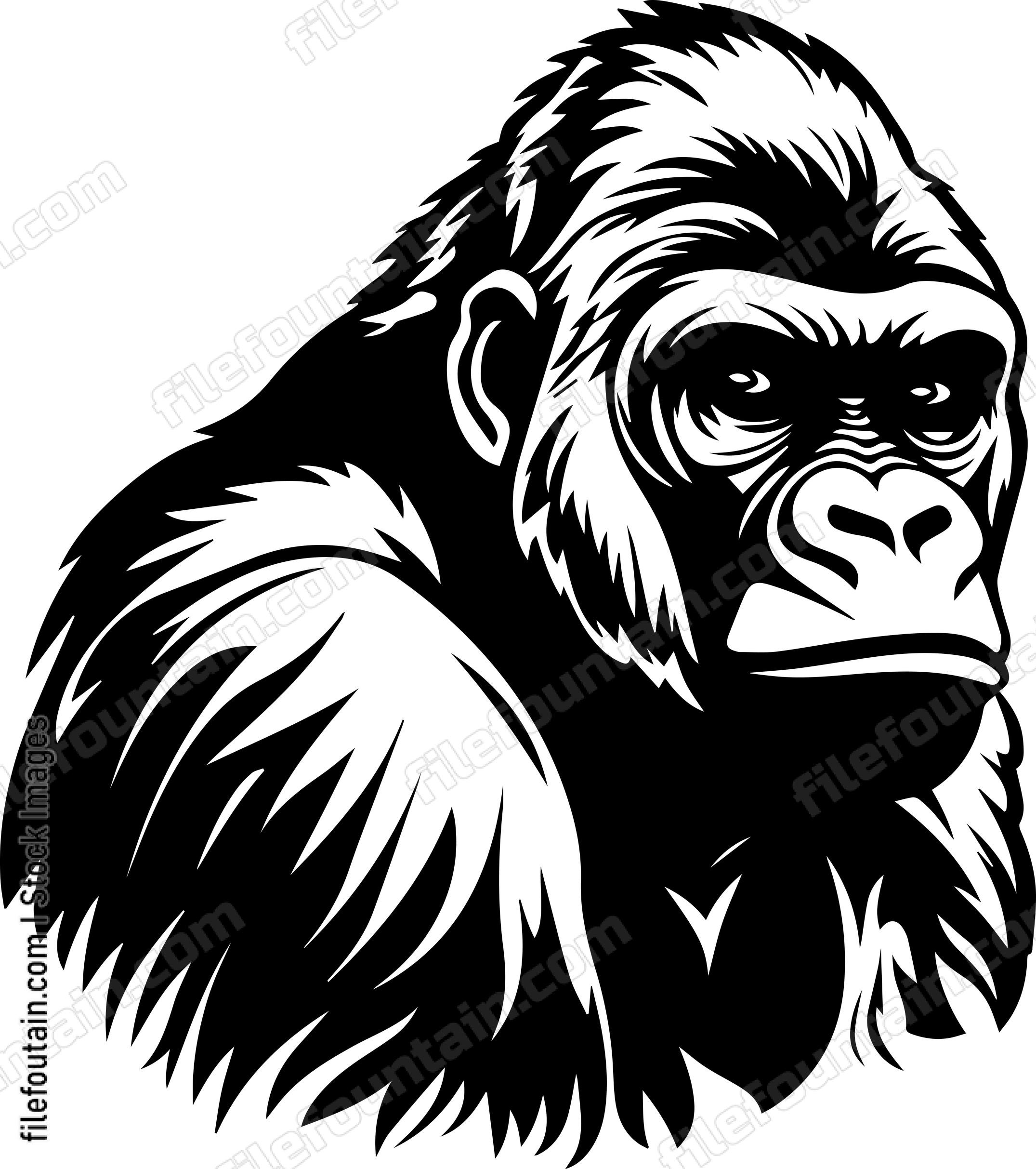 Silverback Gorilla