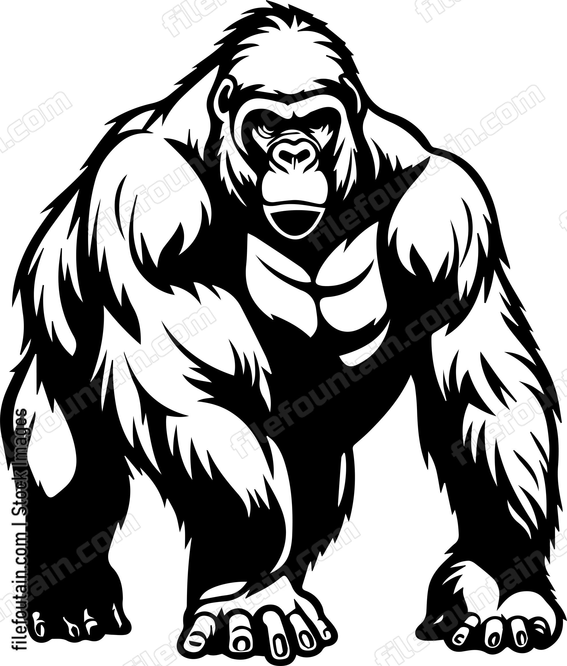 Silverback Gorilla