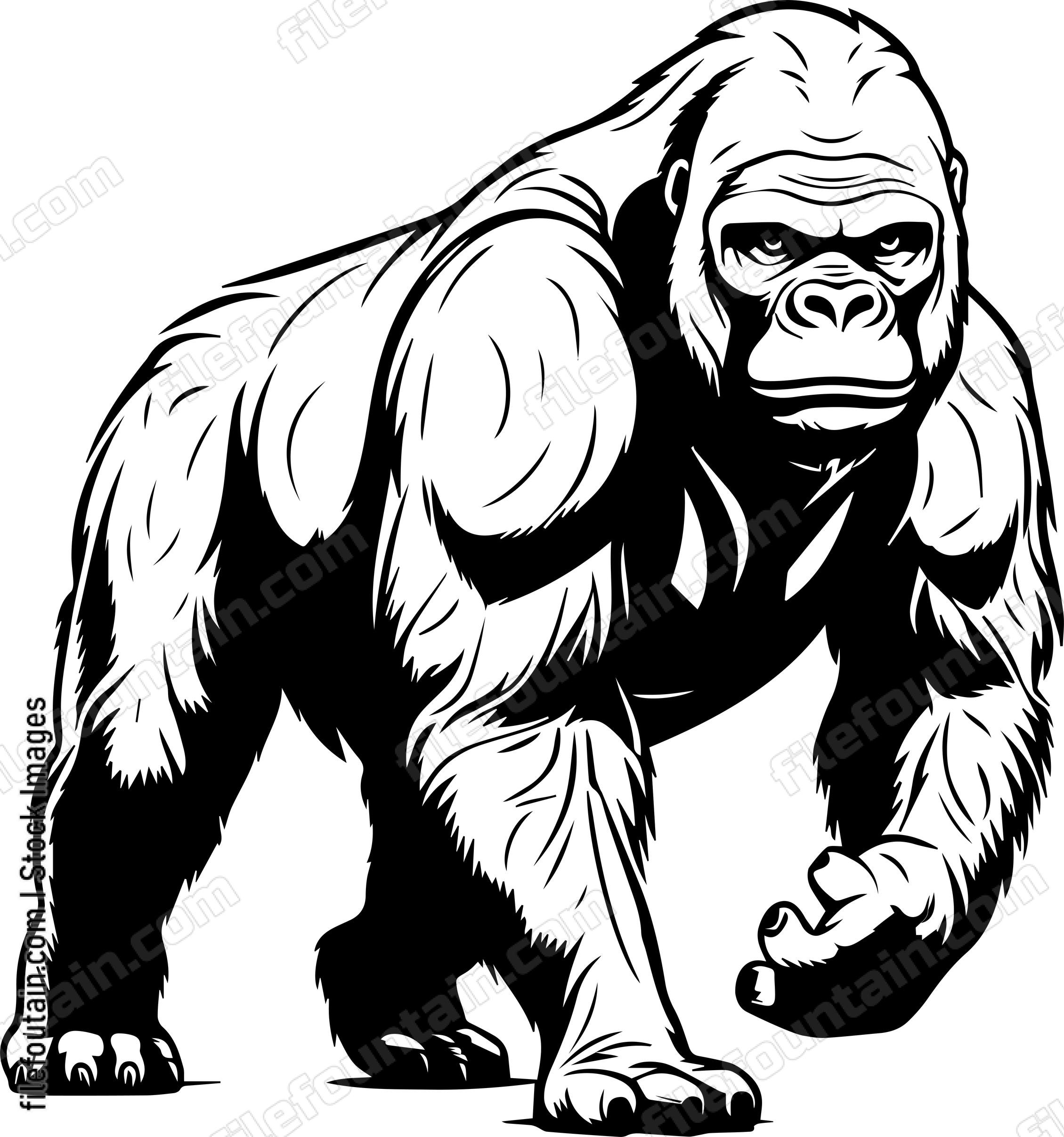 Silverback gorilla