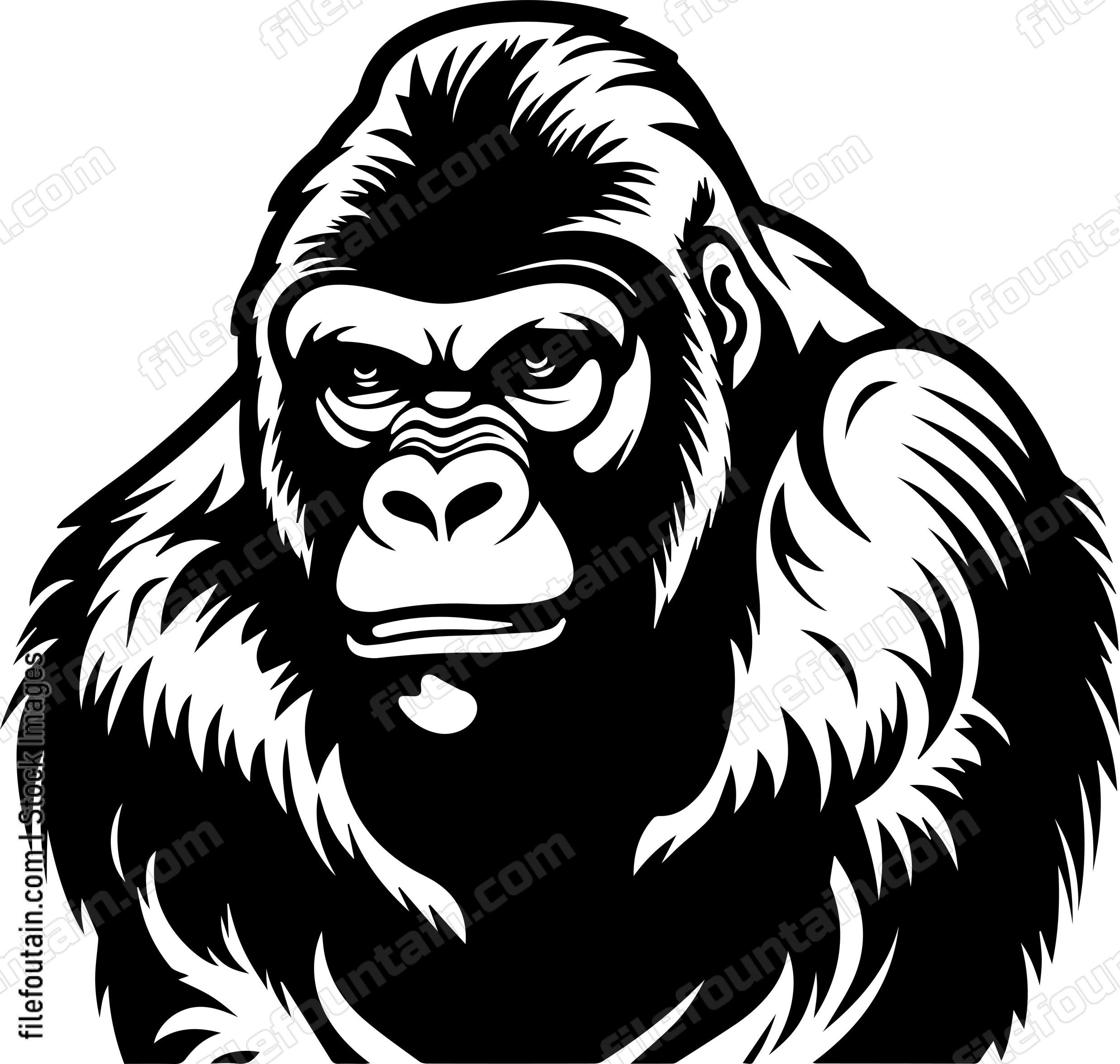 Silverback Gorilla