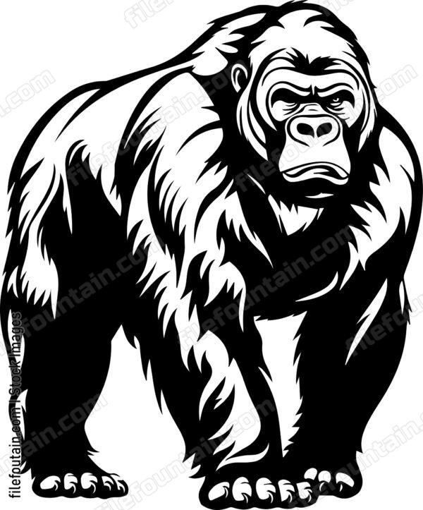 Silverback Gorilla