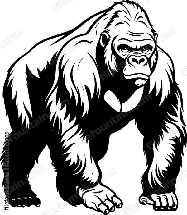 Silverback Gorilla