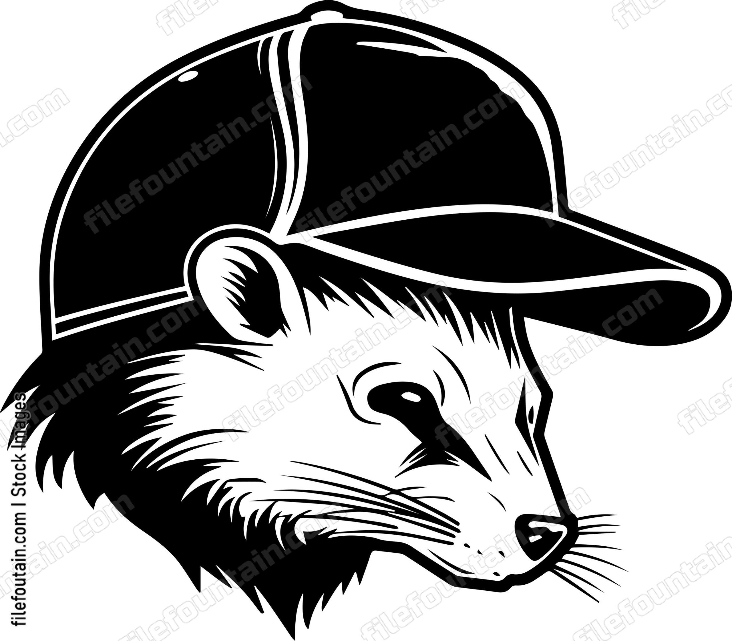 Skunk In Baseball Cap