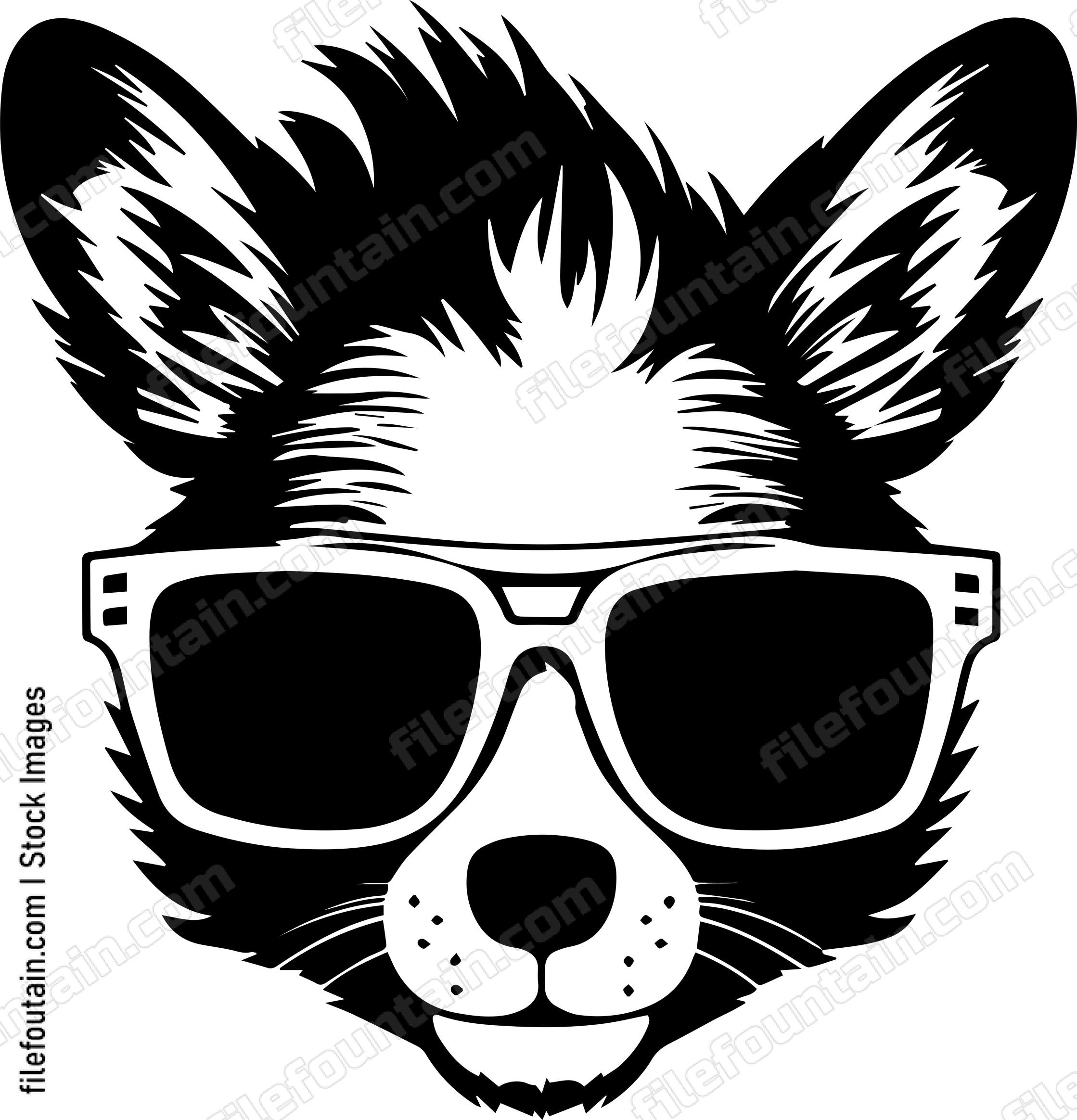 Skunk In Sunglasses