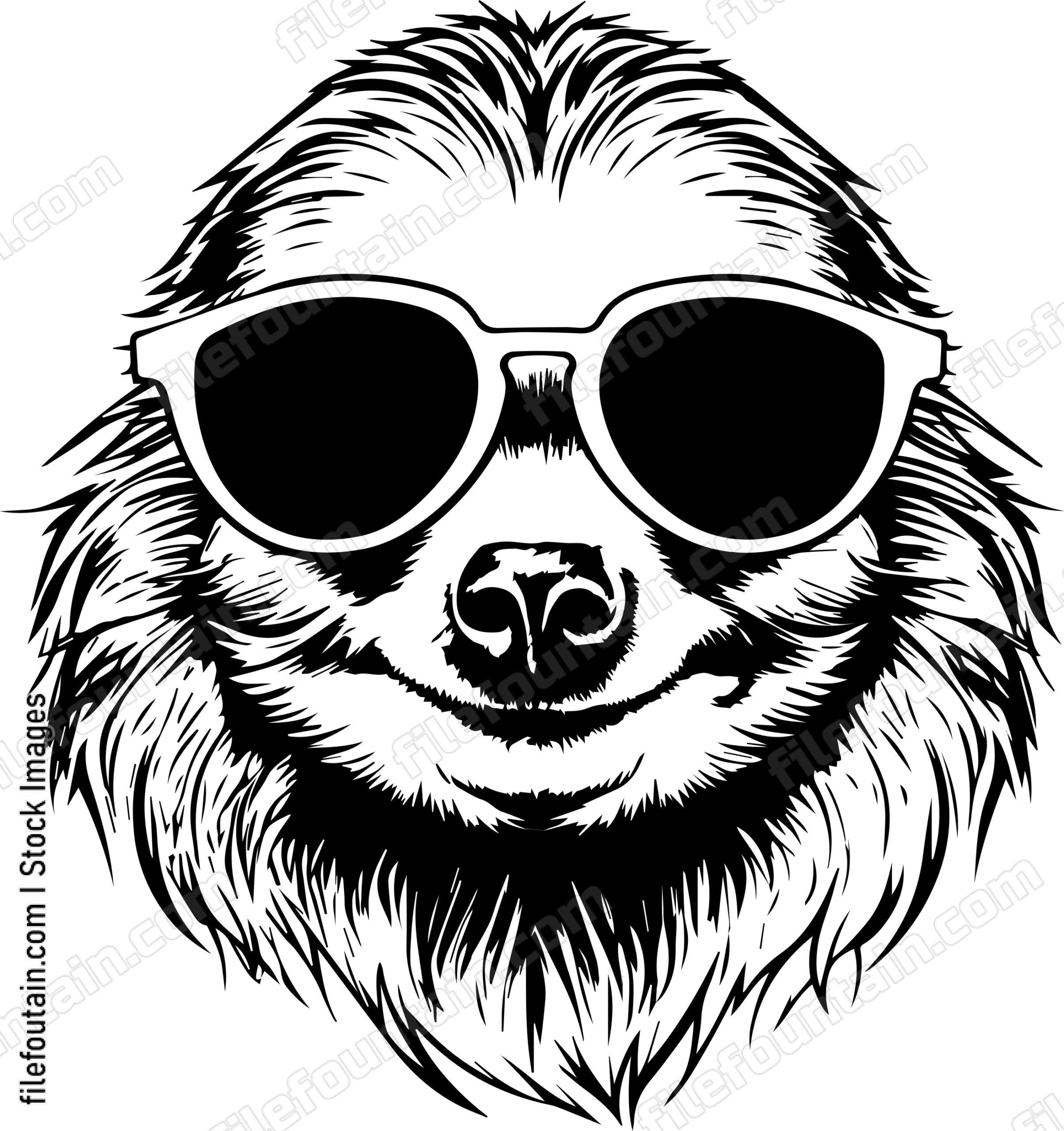 Sloth In Sunglasses