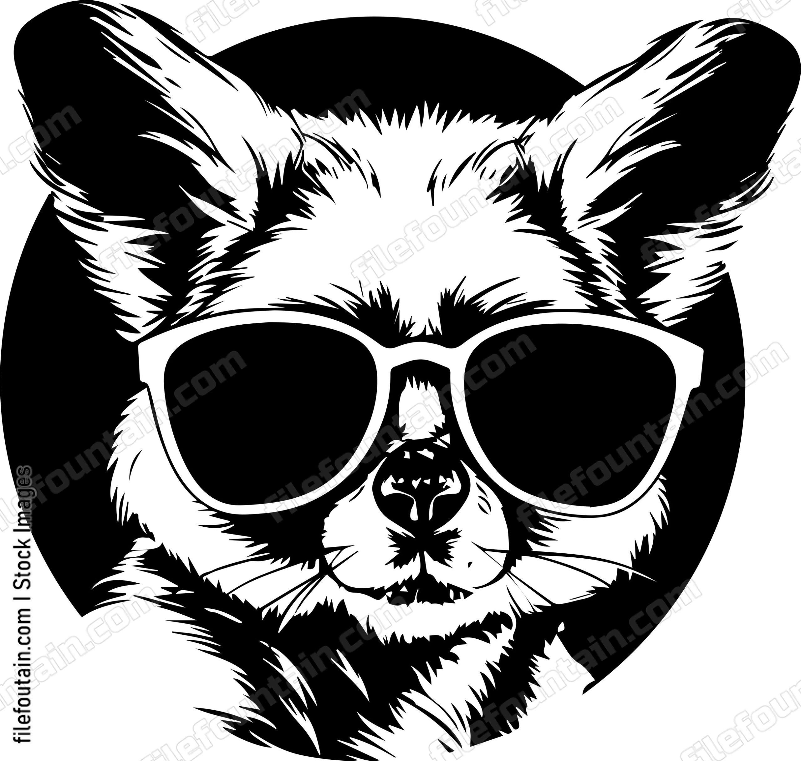 Slow Loris In Sunglasses