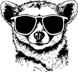 Slow Loris In Sunglasses