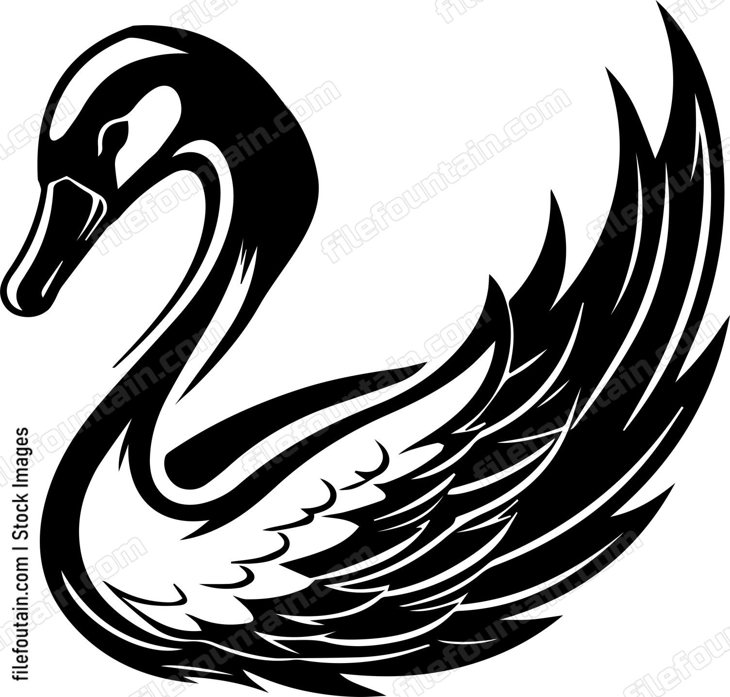 Swan