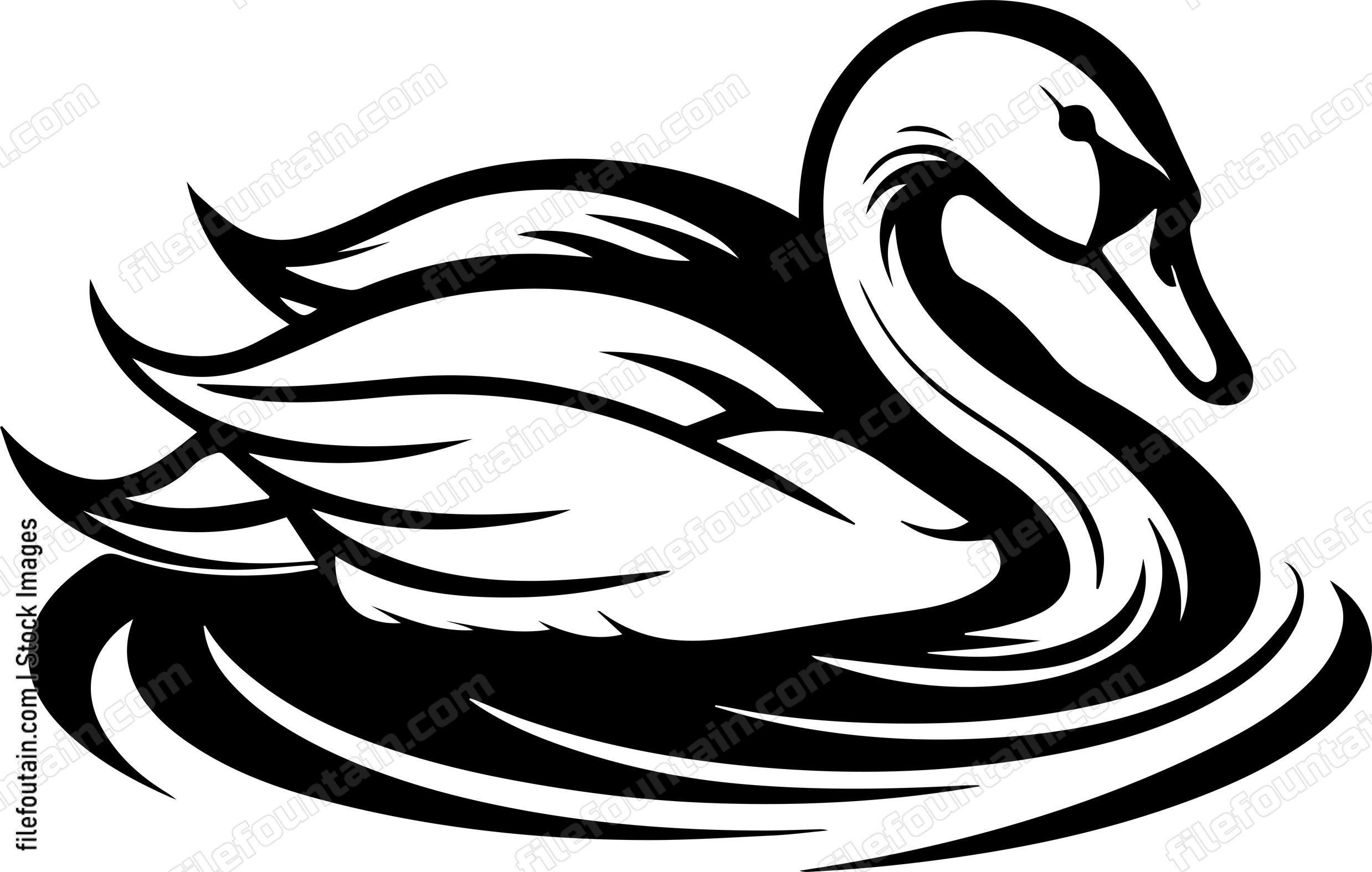 Swan Sleeping
