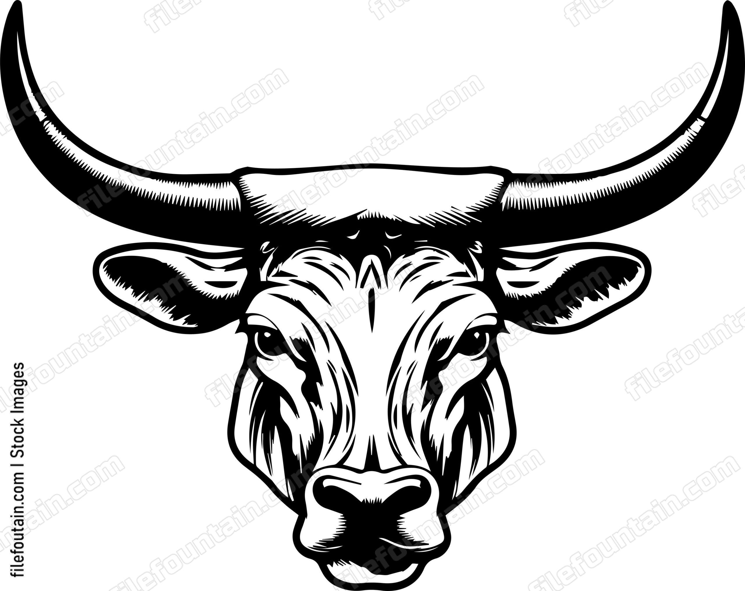 Texas Longhorn