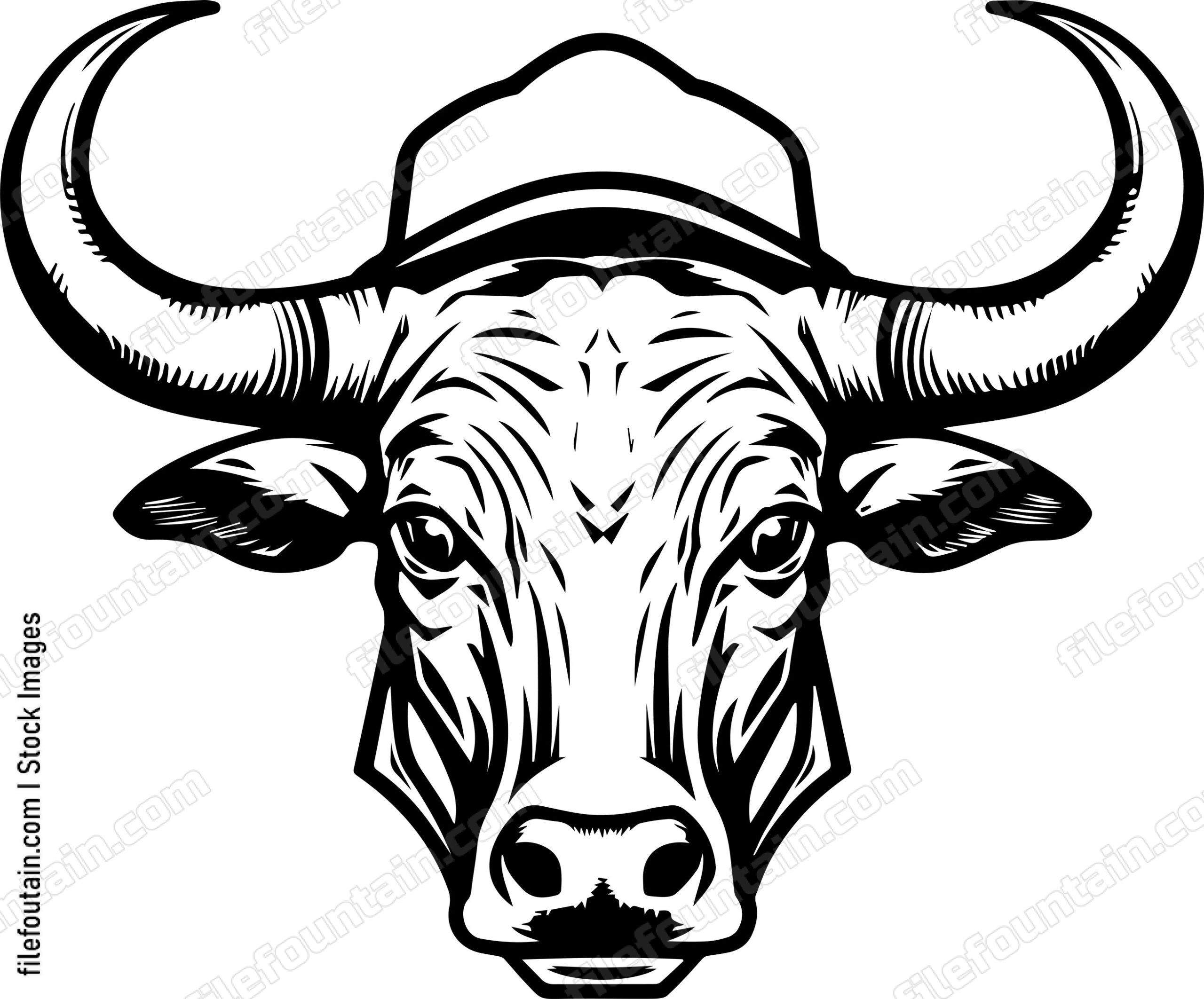 Texas Longhorn In Baseball Cap
