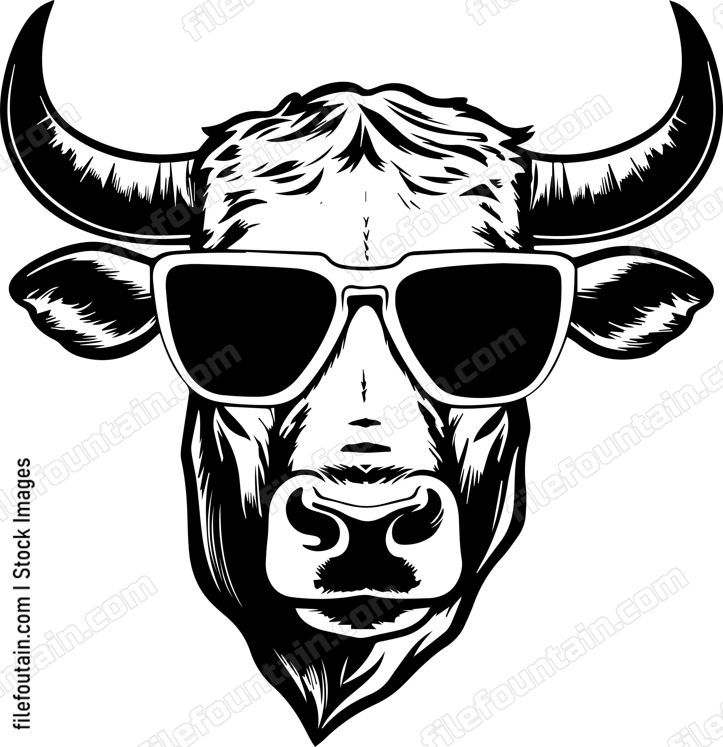 Texas Longhorn In Sunglasses